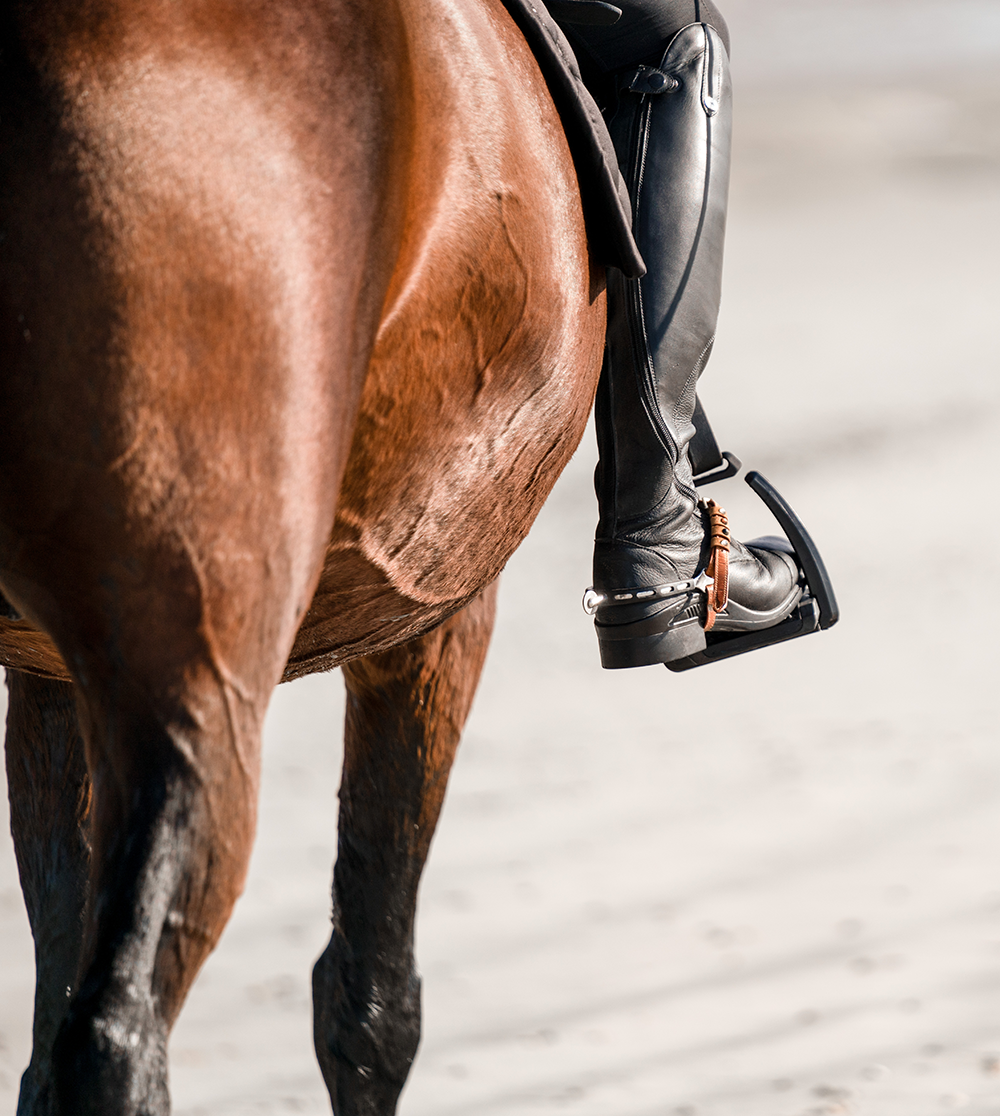 Eine nahaufnahme eines Reiters auf einem braunen Pferd, der mit einem Stiefel und Steigbügel im Sand reitet. Der Fokus liegt auf dem Bein des Reiters sowie der Seite des Pferdes, die detailliert die Fellstruktur zeigt, während im Hintergrund ein heller Sandboden sichtbar ist.