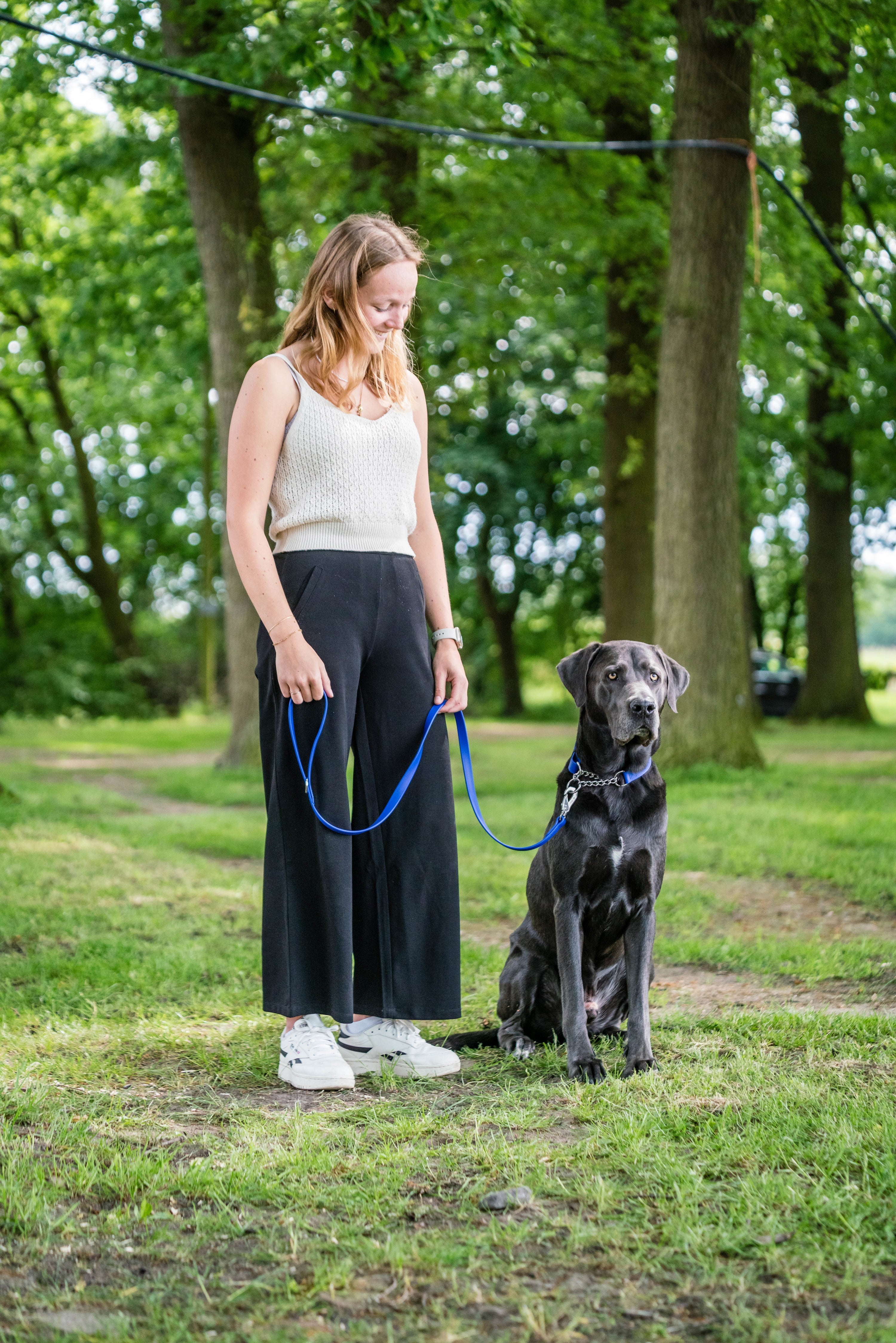 schwarzer Hund mit blauen Biothane Halsband und Leine im Wald