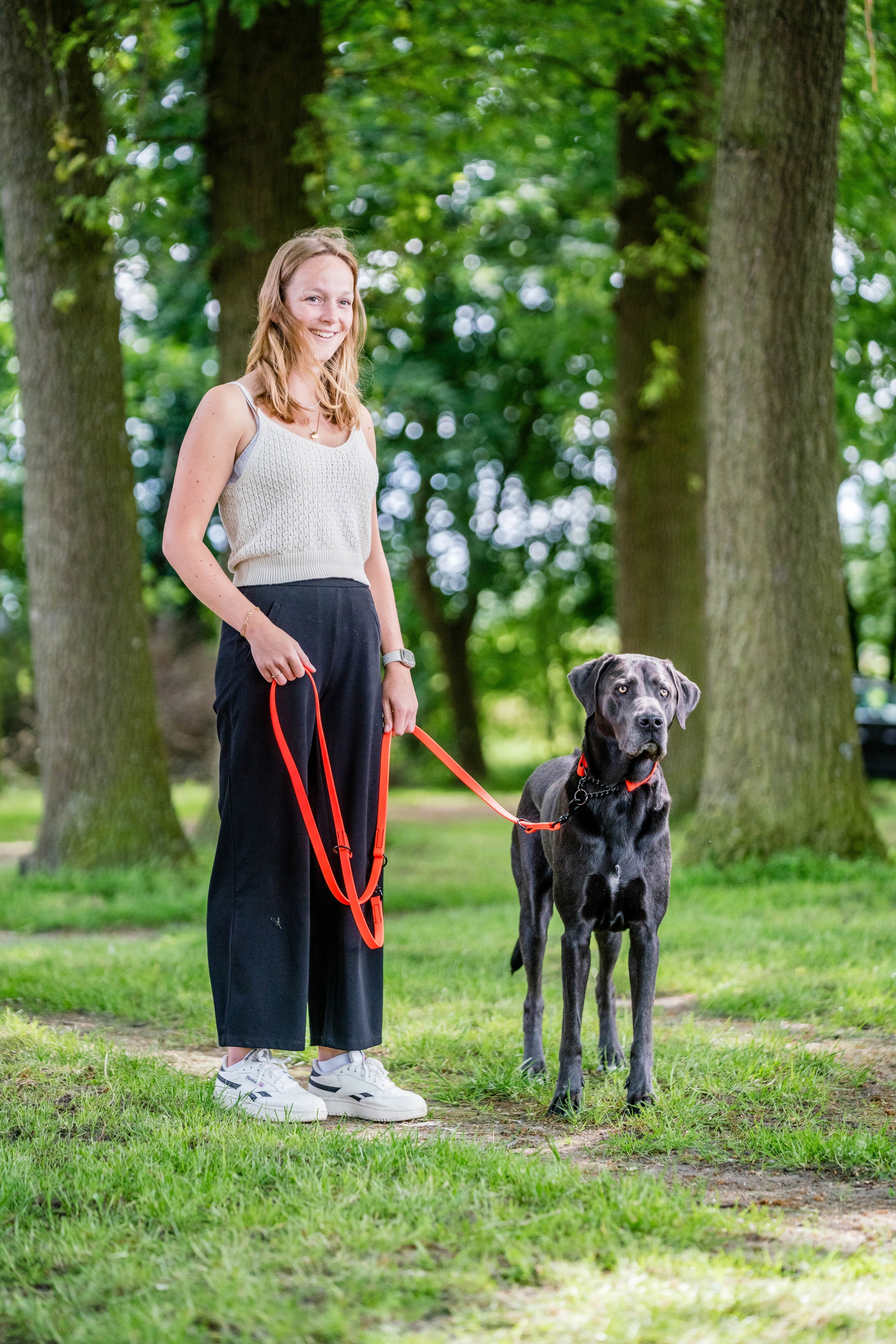 Schwarzer Hund mit orangenen Biothane Halsband und Leine im Wald