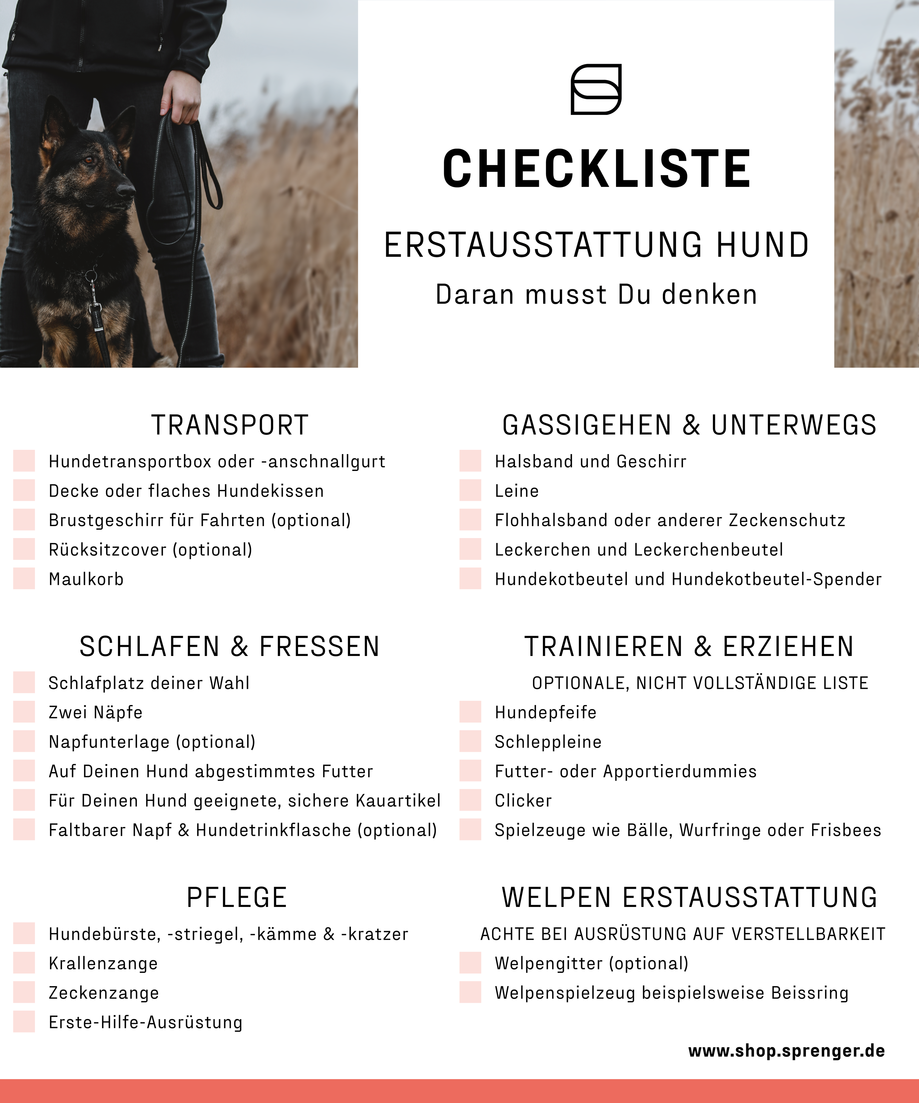 Übersicht Checkliste Erstausstattung Hund