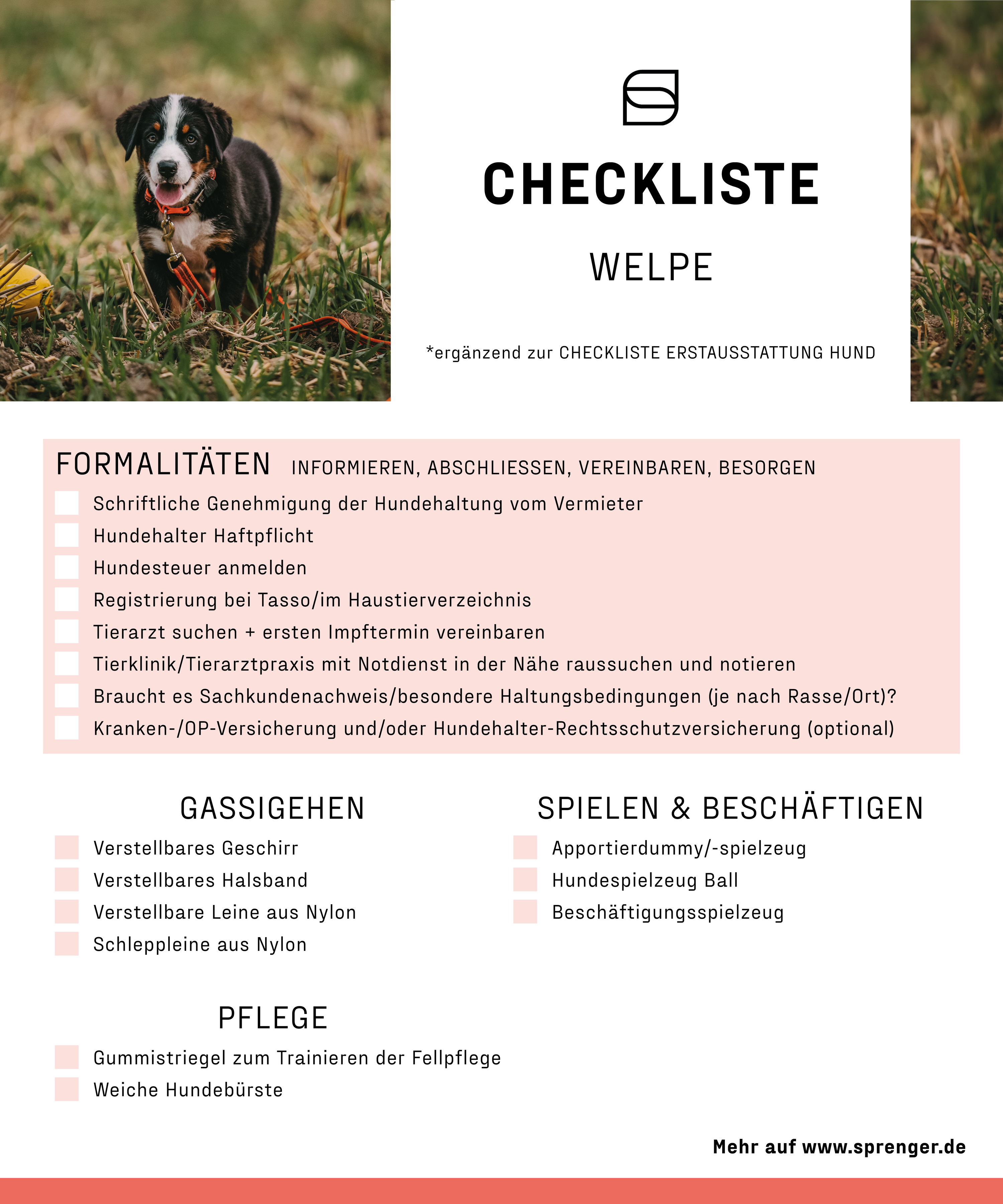 Ausschnitt Checkliste Welpen