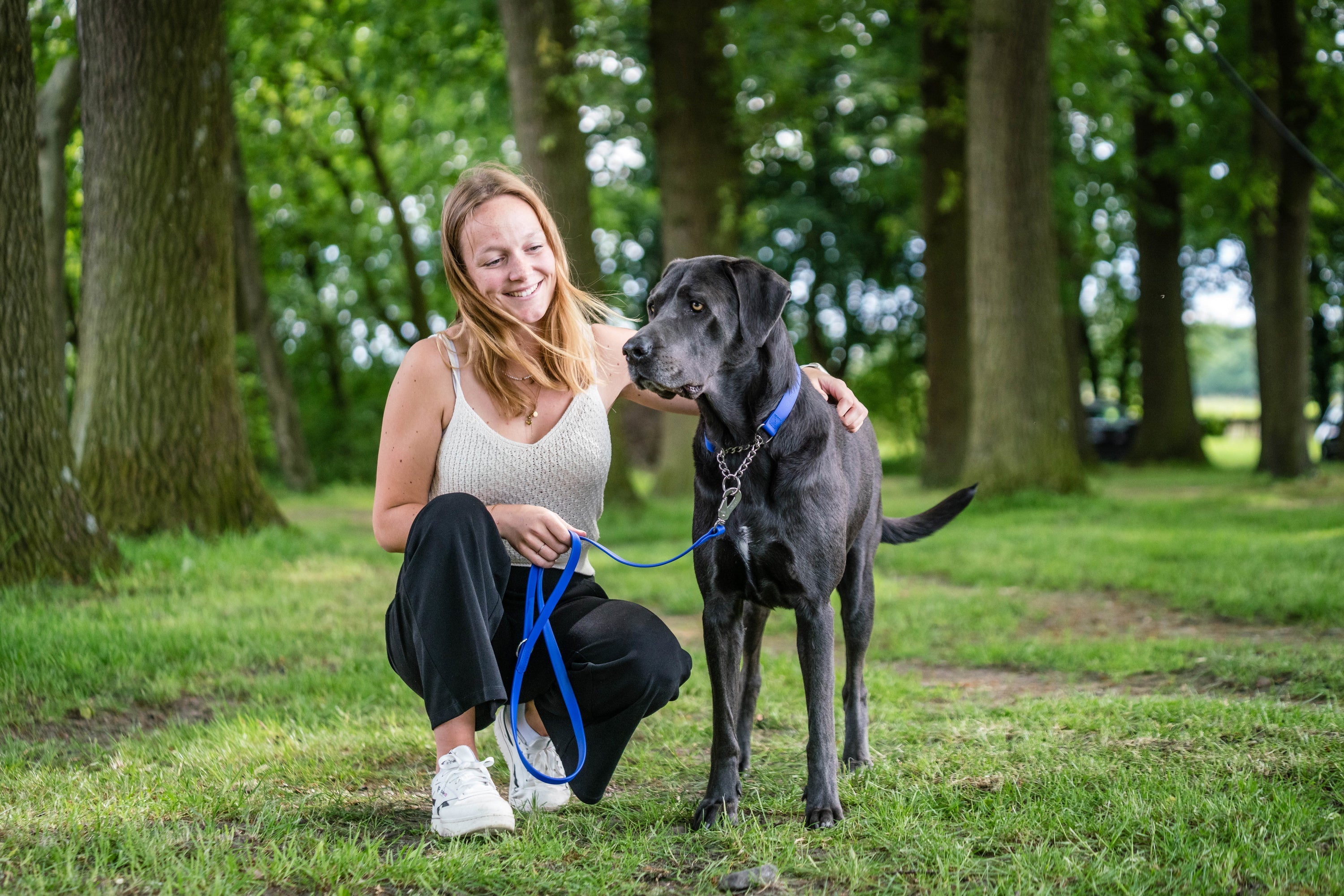 schwarzer Hund mit blauen Bitohane Halsband und Leine im Wald