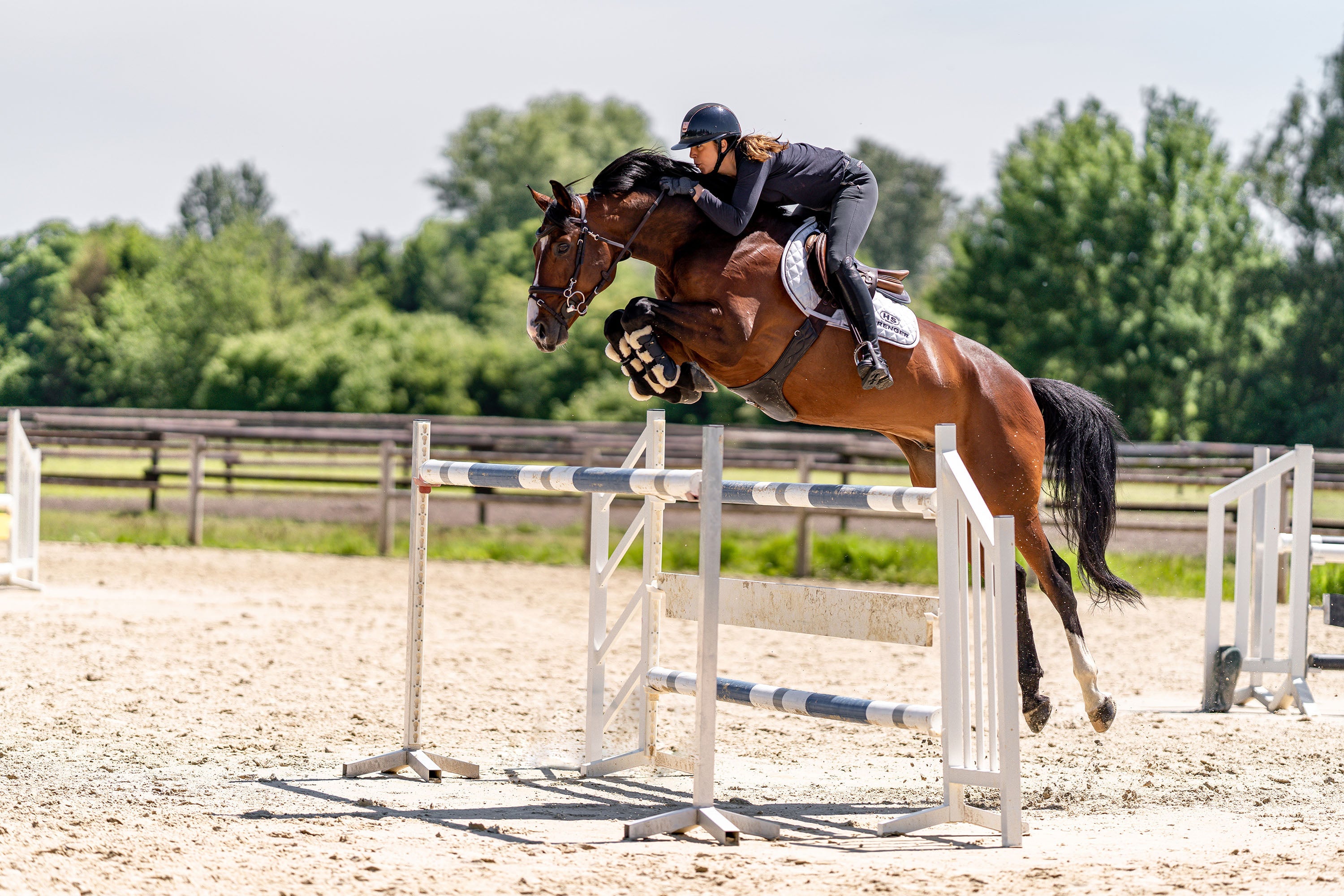 braunes Pferd im Sprung beim Springreiten