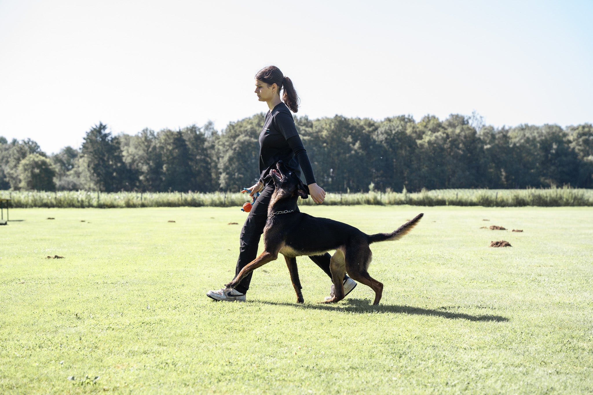 Hund mit Edelstahl Kettenhalsband medium folgt Frauchen