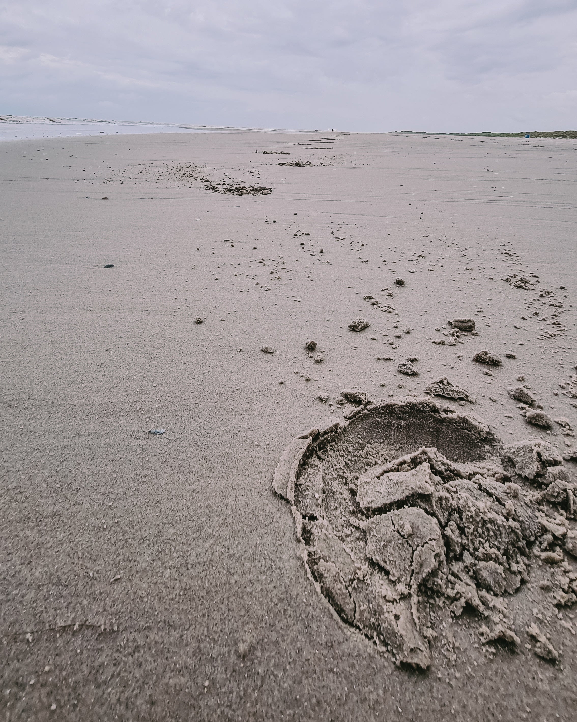 Hufabdruck am Strand