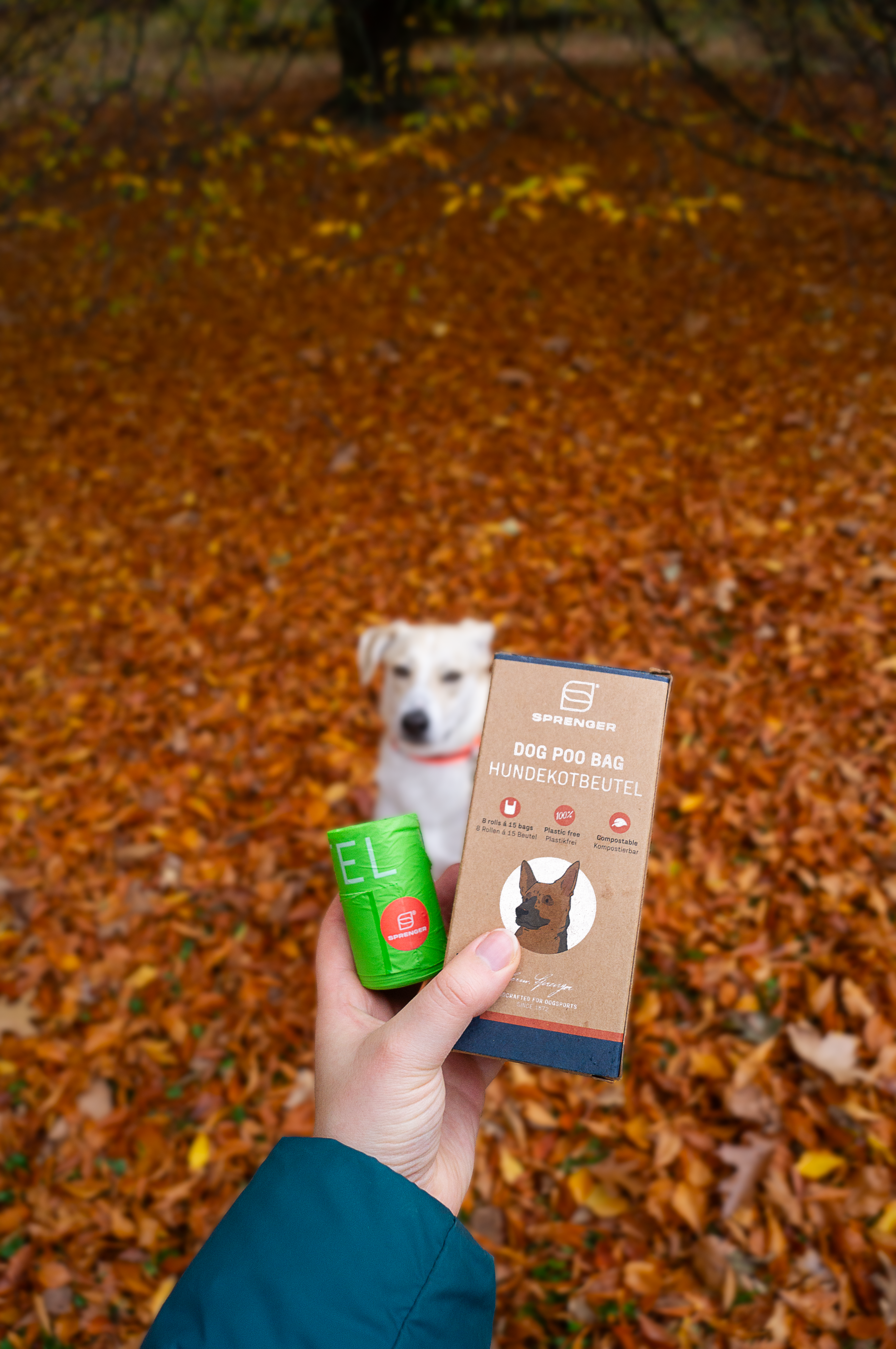 Hundekotbeutel mit Verpackung in der Hand