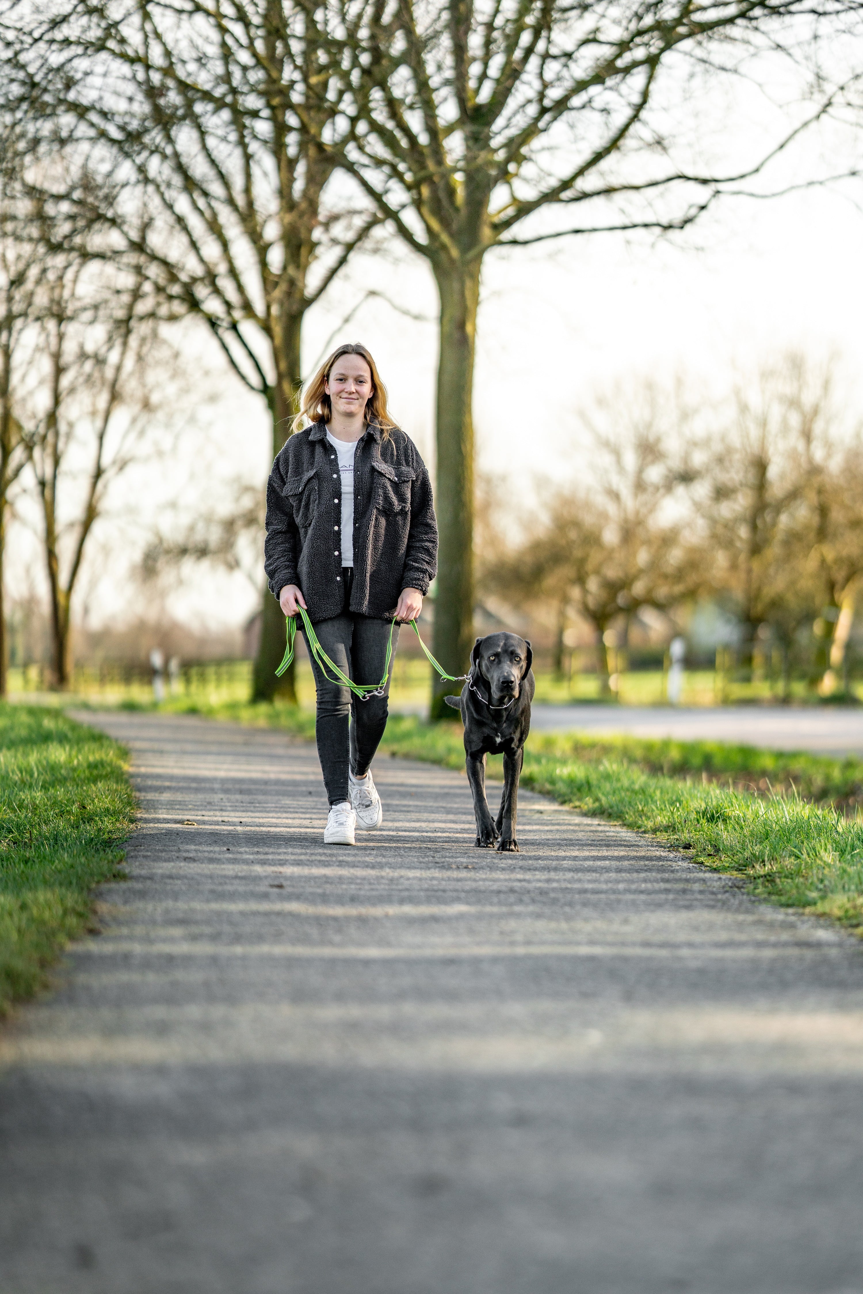 Hund mit grüner gummierter Leine beim spazieren