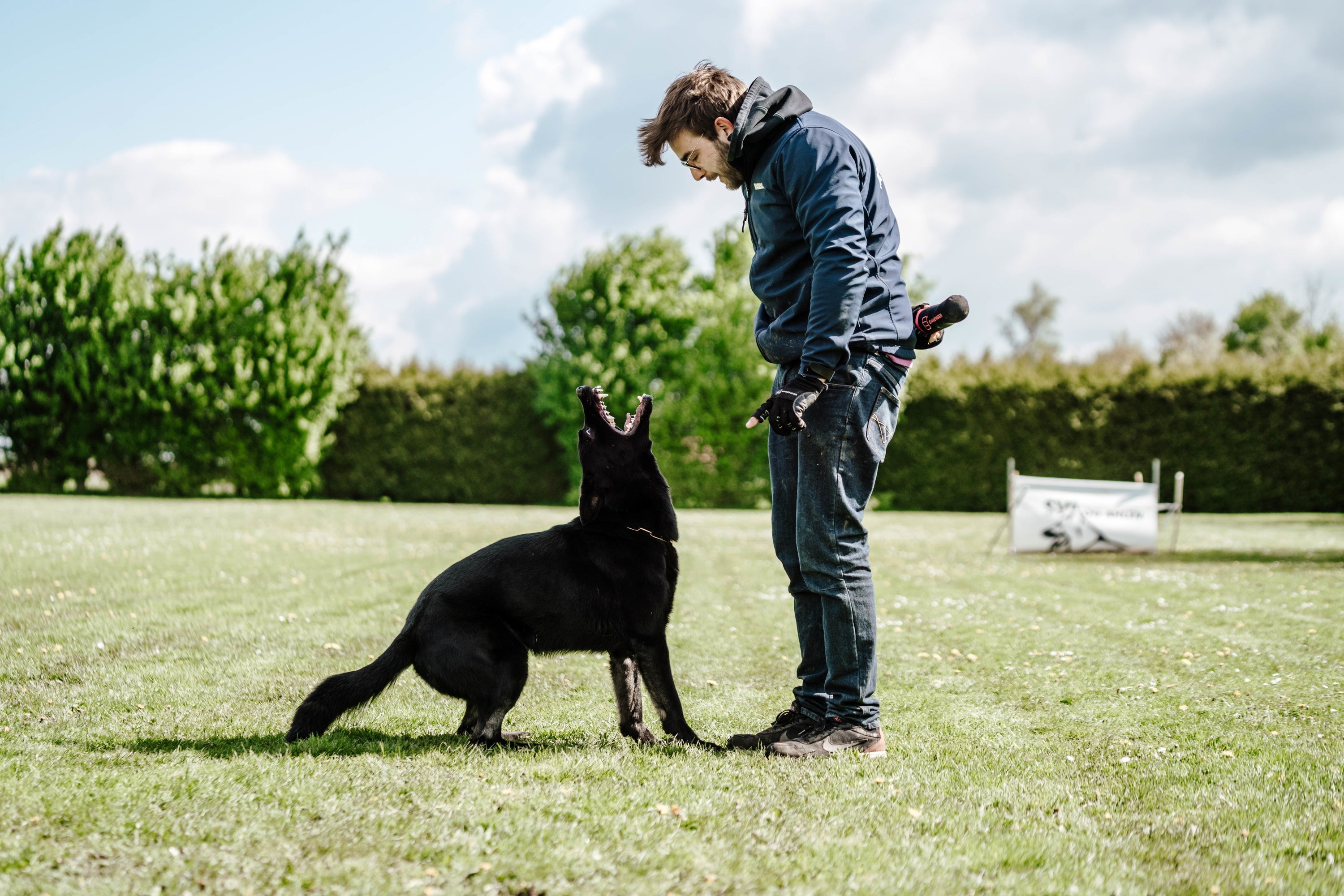 schwarzer Hund mit Edelstahl Kettenhalsband und Dummy Spielzeug