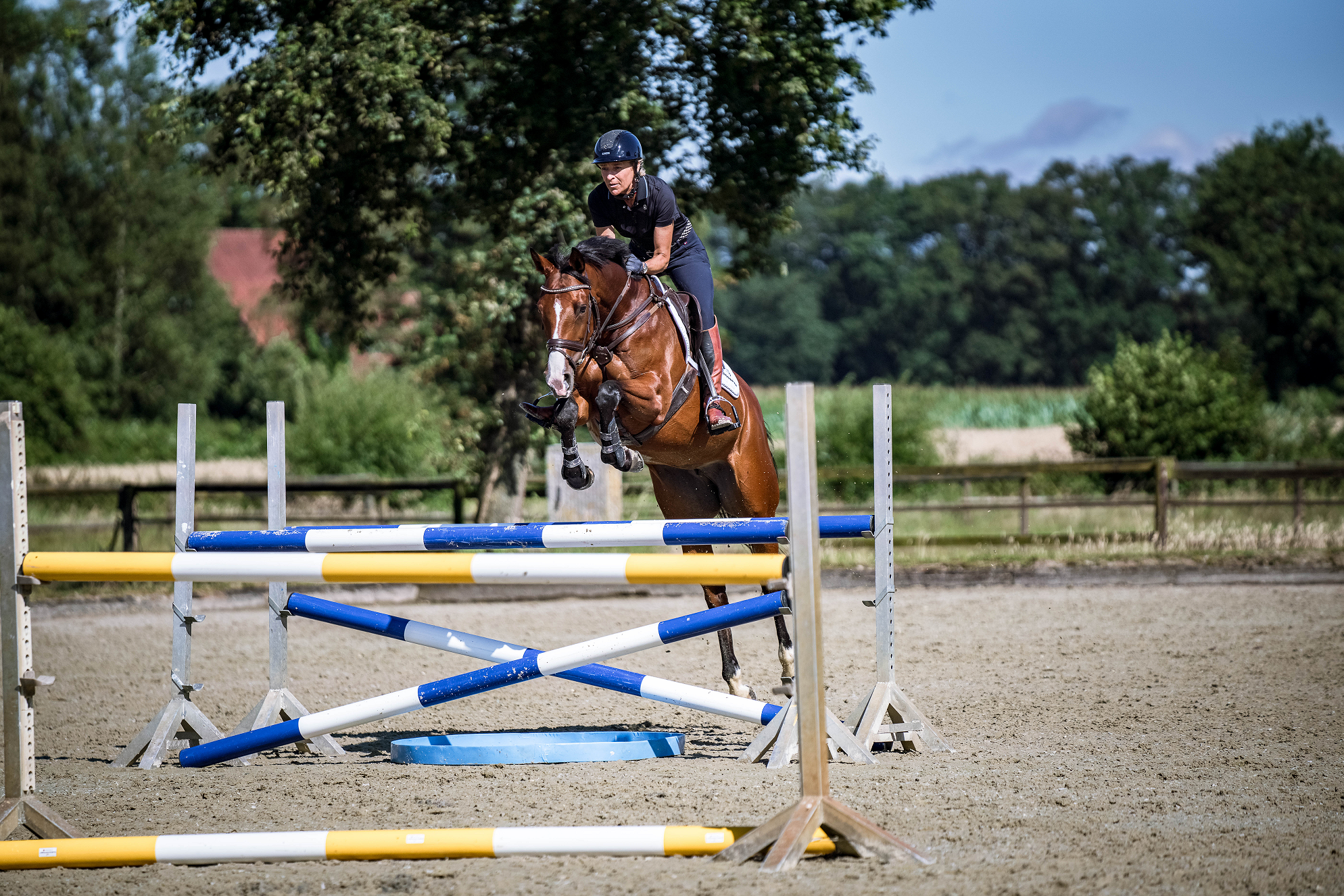 Ingrid Klimke Steilsprung mit Pferd