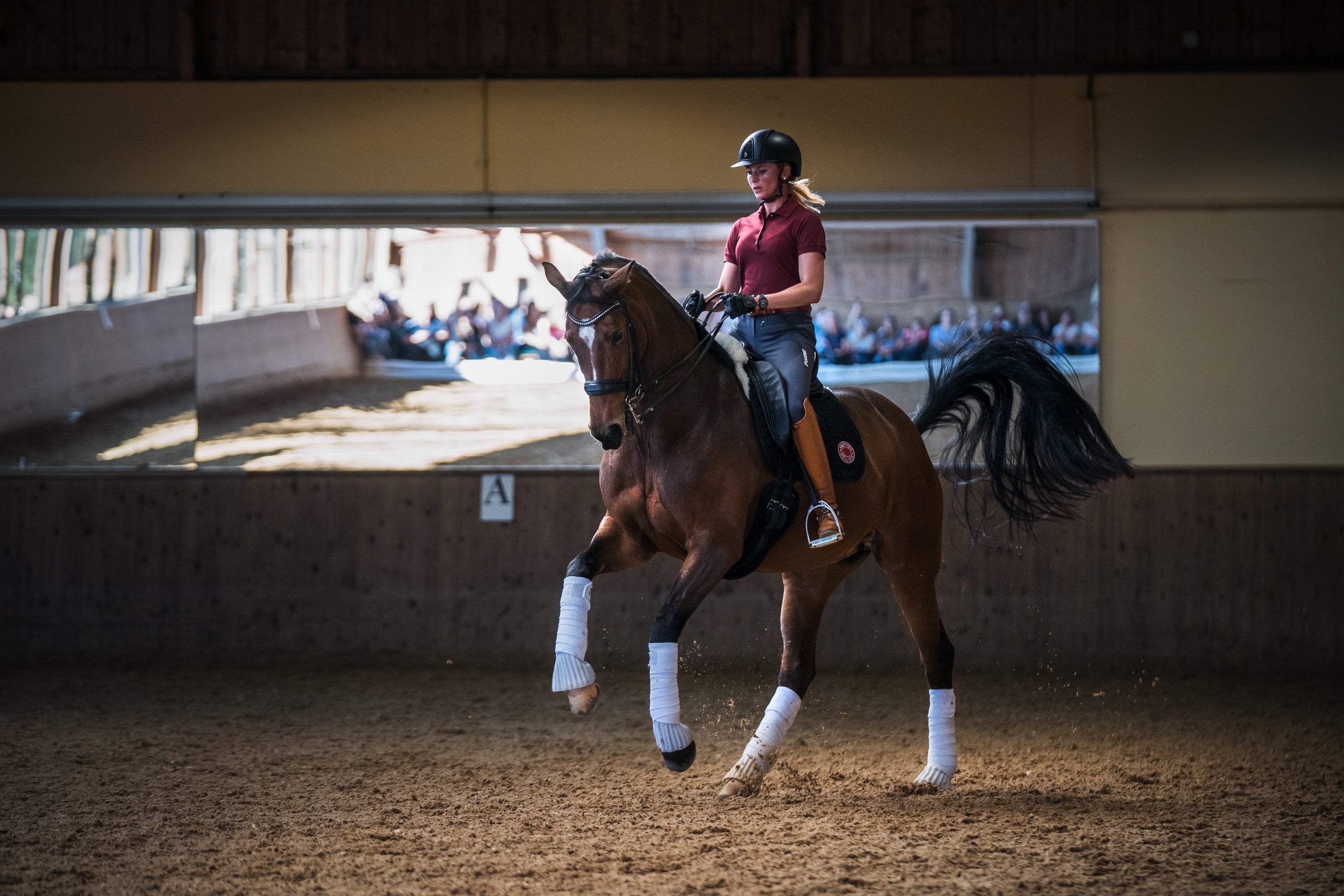 Jesica von Bredow Werndl reitet mit Pferd im Stall
