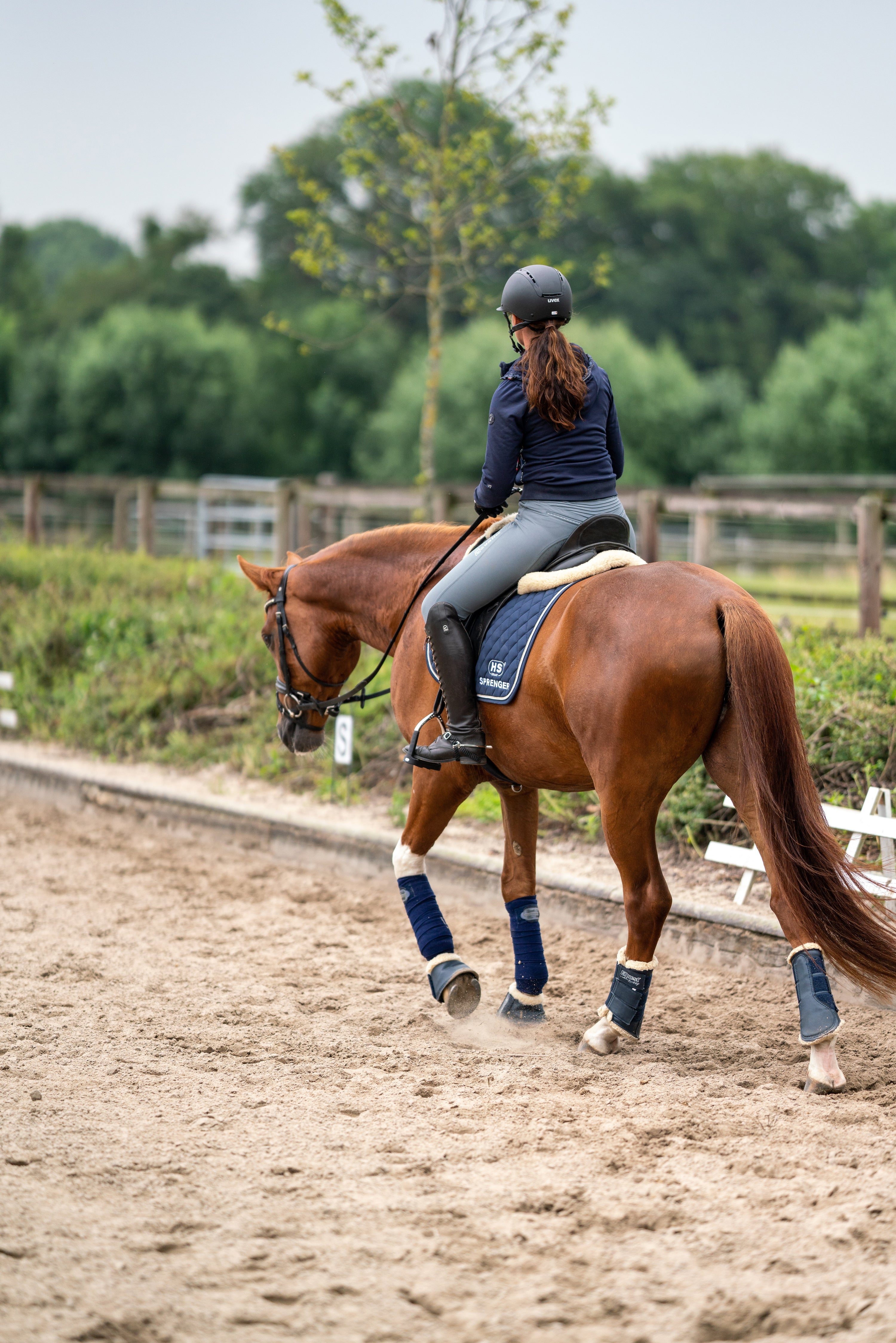 Jessica Süss Warmreiten mit braunen Pferd