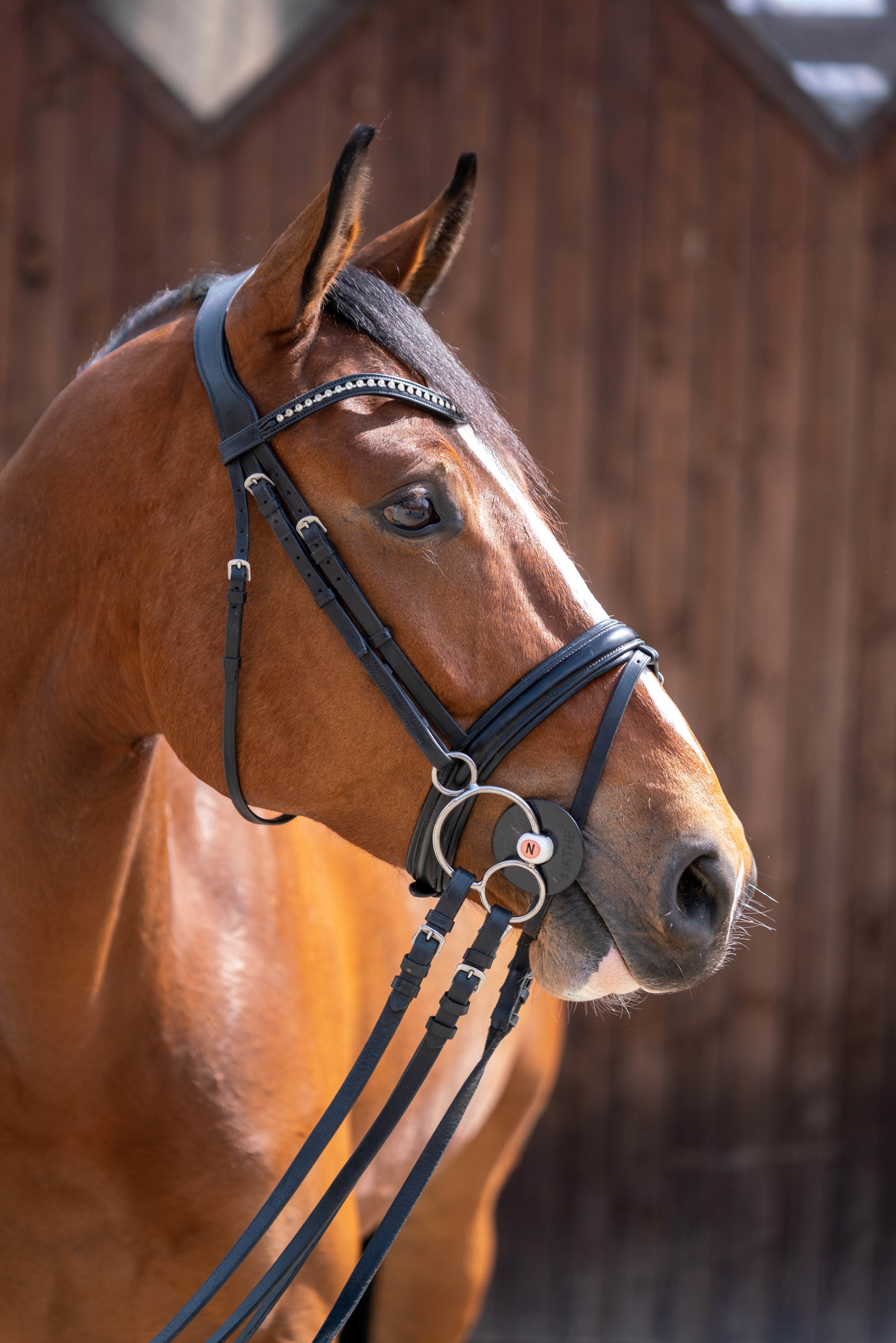 Braunes Pferd mit Nathe 3-Ring Geiss