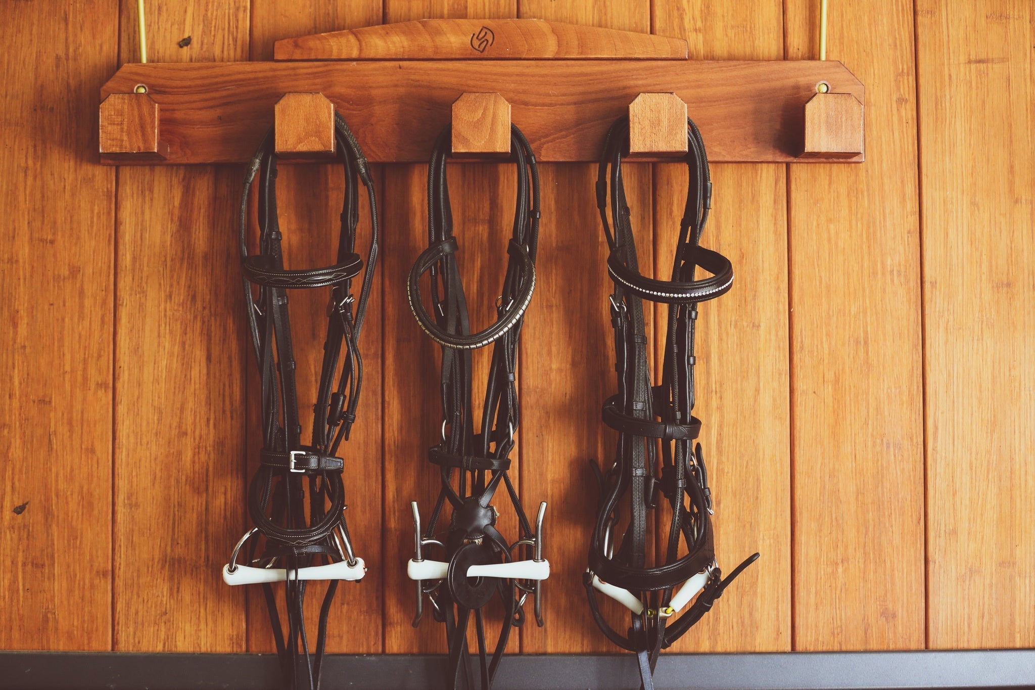 Nathe Gebisstrense an Verschnallung