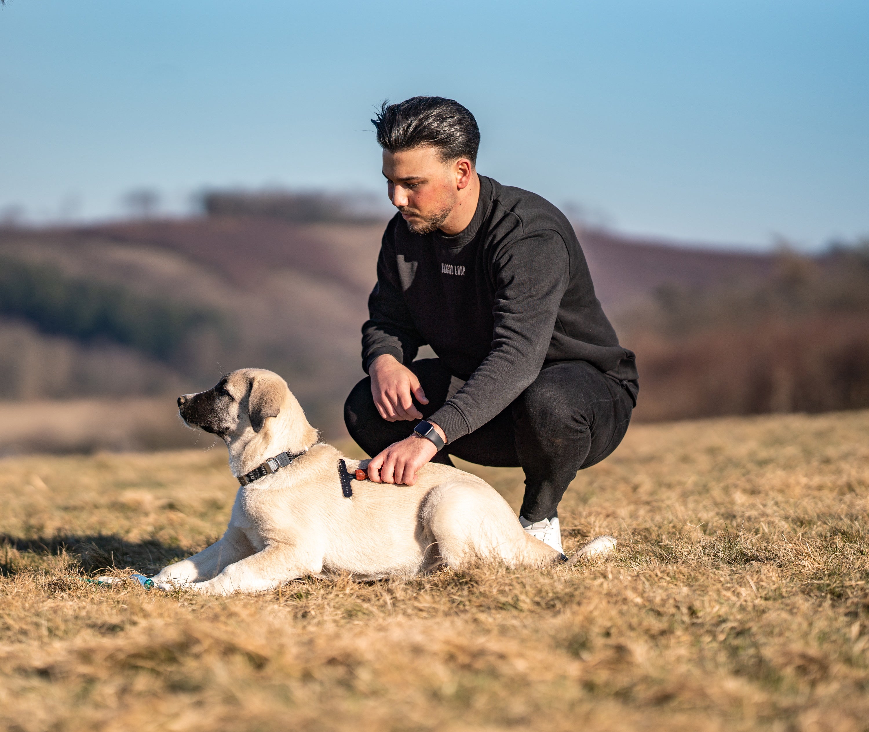 beiger Hund mit NeckTech Halskette und Hundebürste