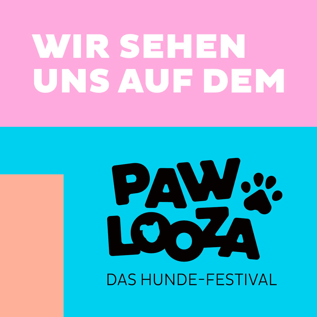 Pawlooza Visual