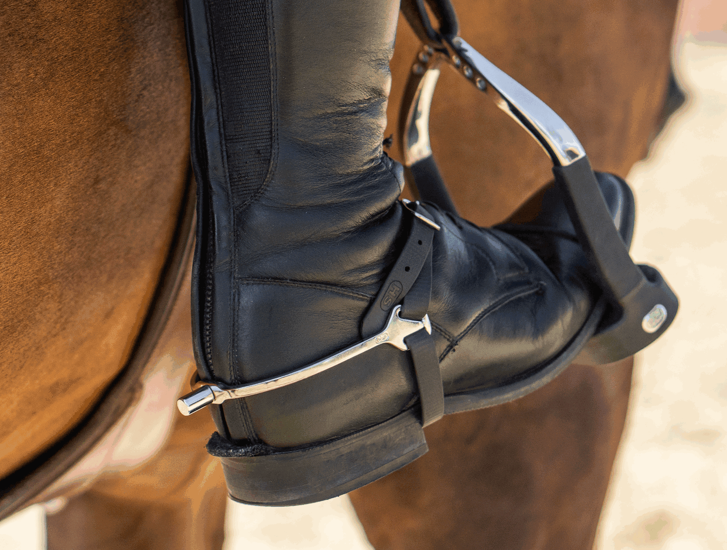 Nahaufnahme eines Reiterstiefels, der in einem Steigbügel steckt. Der Stiefel ist aus schwarzem Leder mit einem Reißverschluss an der Seite. Der Steigbügel ist aus Metall und hat eine breite Auflagefläche. Im Hintergrund ist der Körper eines braunen Pferdes sichtbar. Die Szene vermittelt ein Gefühl von Reitaktivität im Freien.