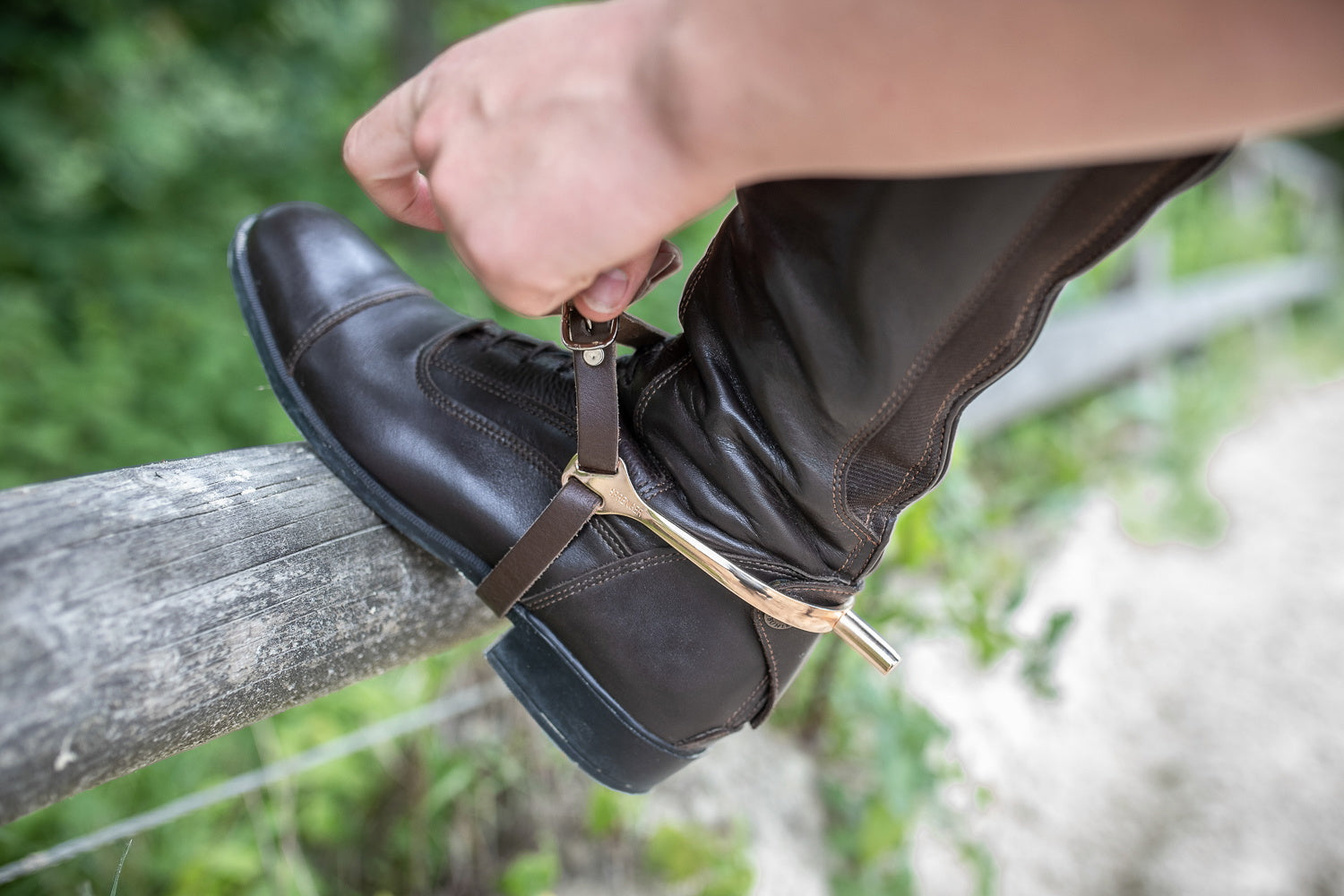Sporenriemen aus Leder braun mit goldenen Sporen am Schu