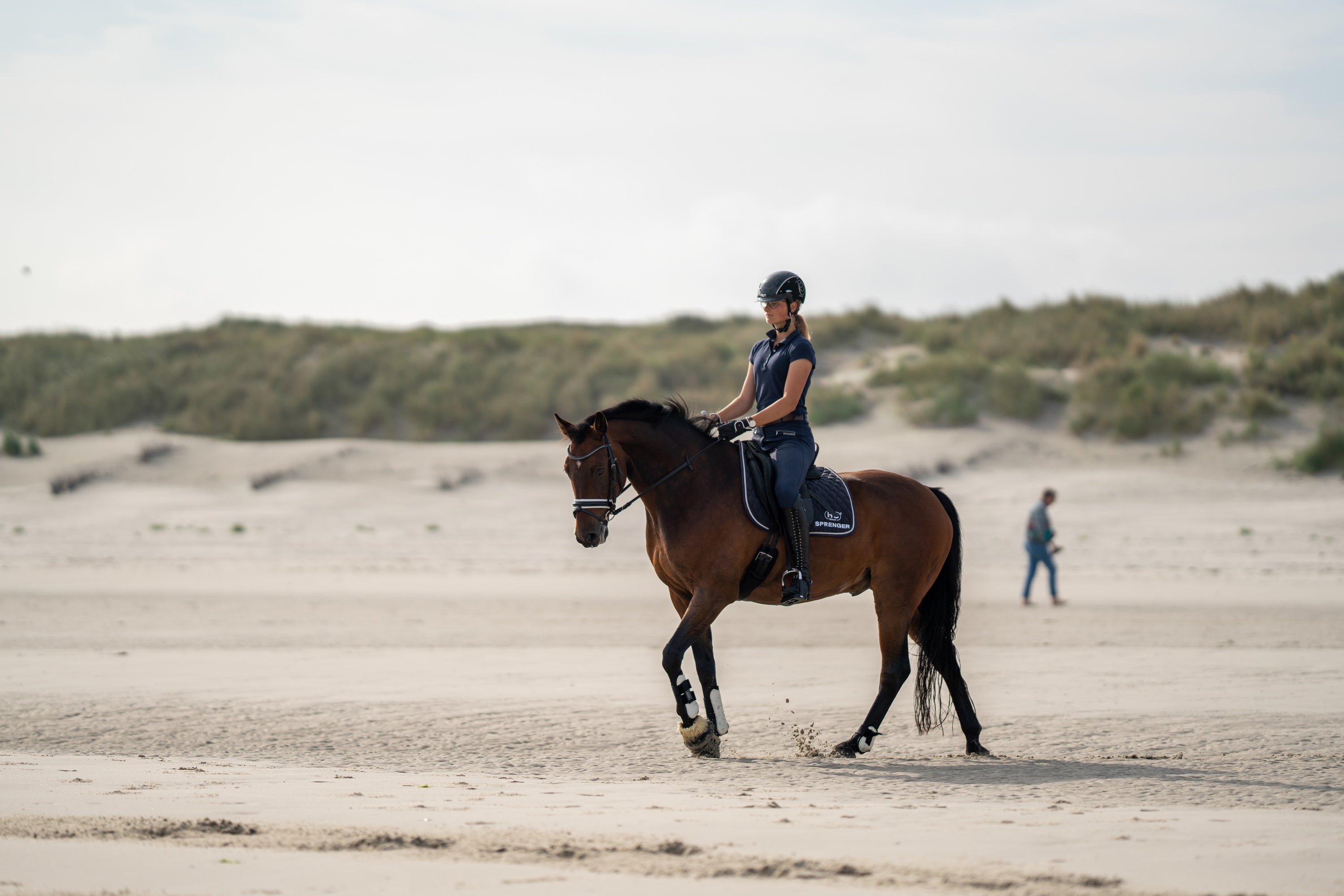 braunes Pferd reitet am Strand