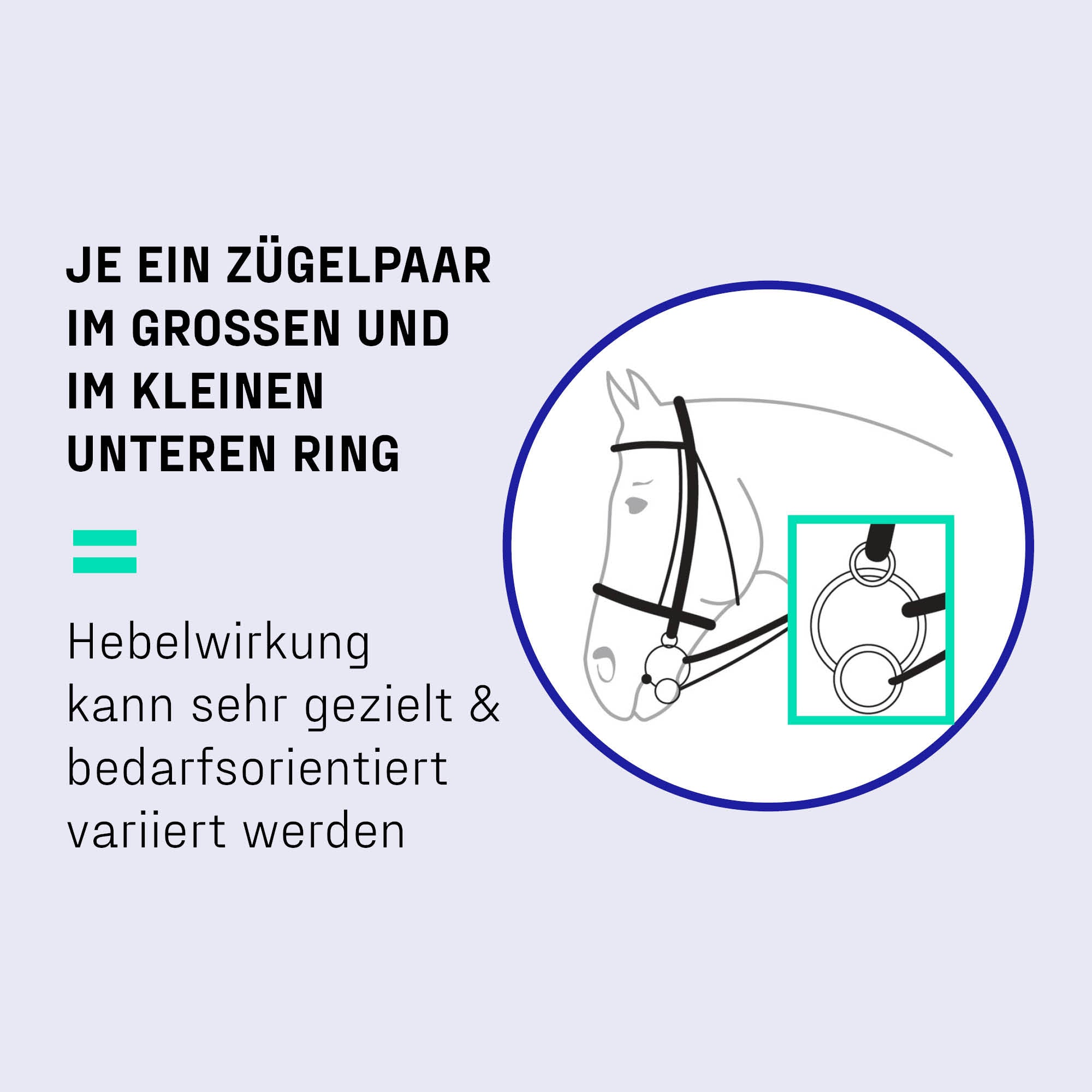 Verschnallung mit 3 Ring Gebiss Erklärung 3