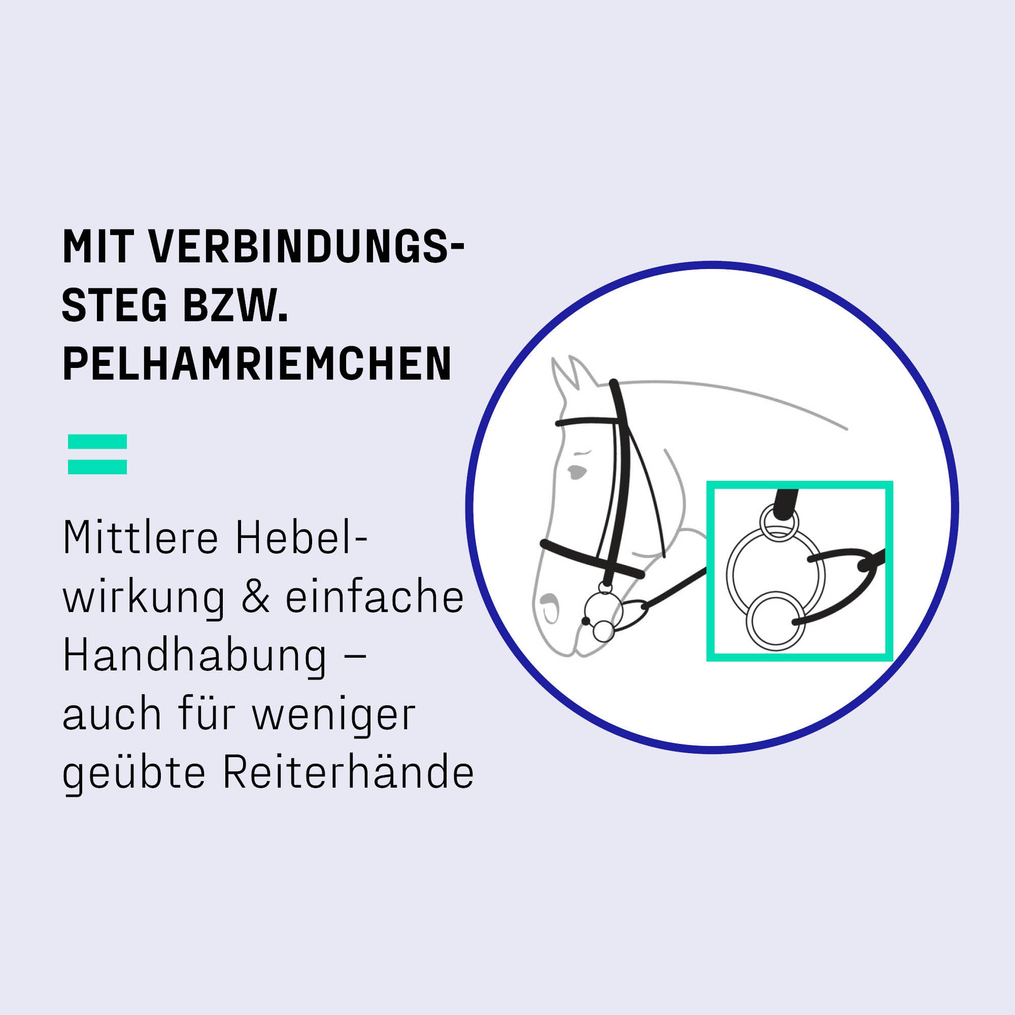 Verschnallung mit 3 Ring Gebiss Erklärung 2