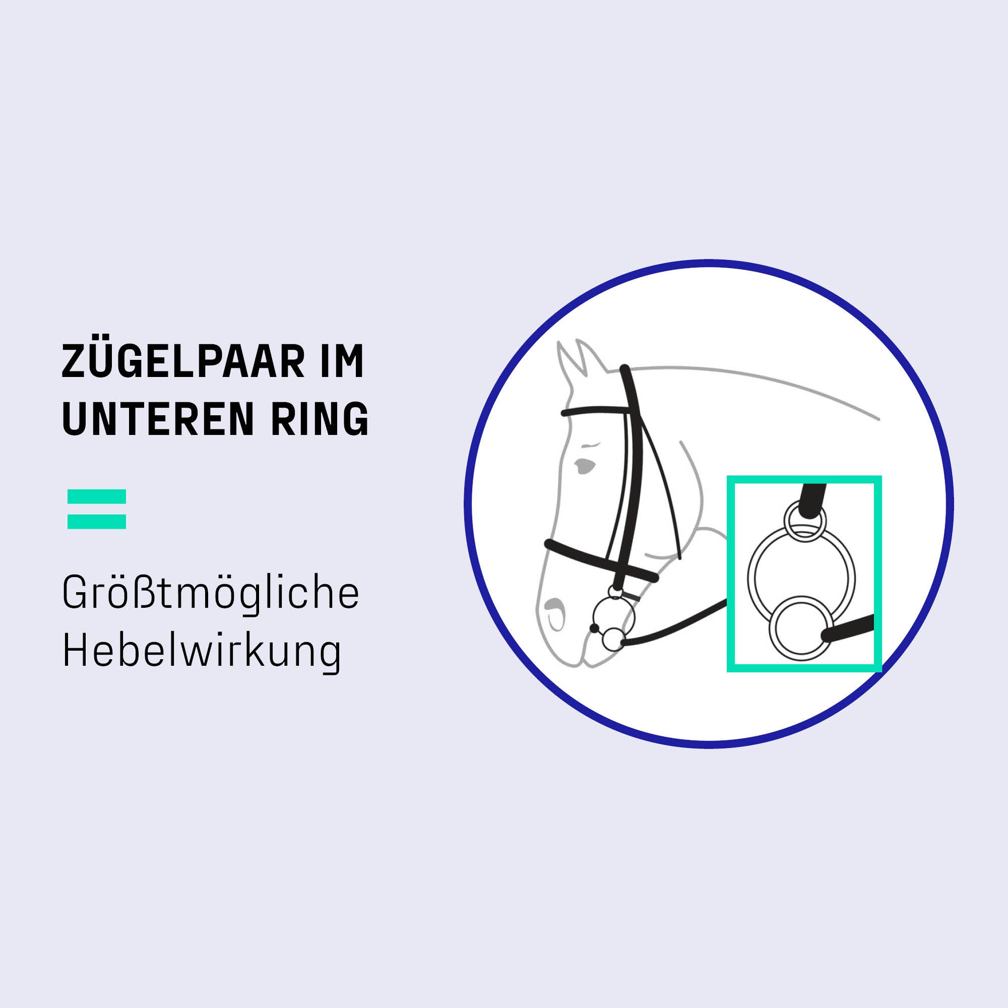 Verschnallung mit 3 Ring Gebiss Erkärung 1