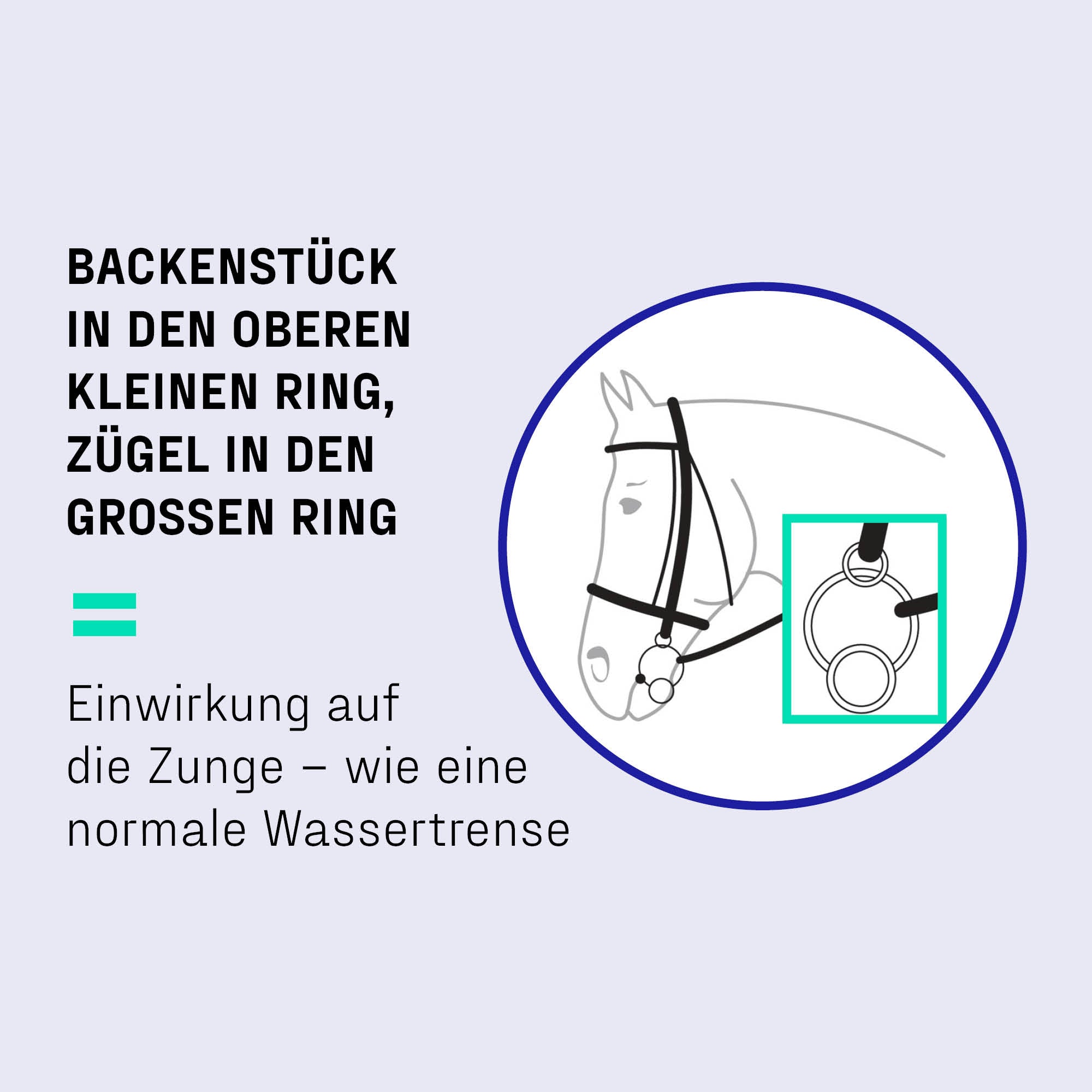 Verschnallung mit 3Ring Gebiss Erklärung 4