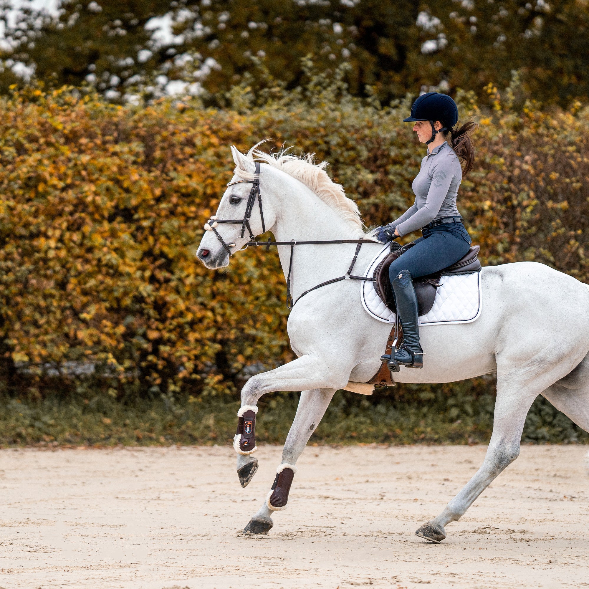 weißes Pferd mit Wassertrense beim Springen