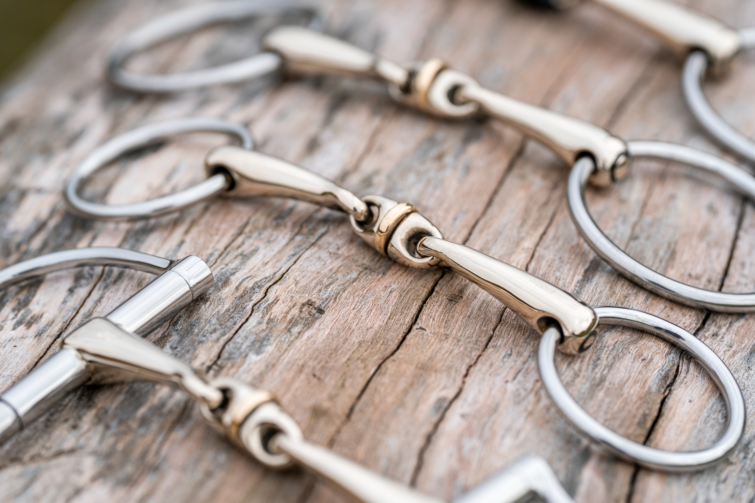 WH Ultra Sensogan Gebisse doppelt  gerochen auf einem Holzstamm