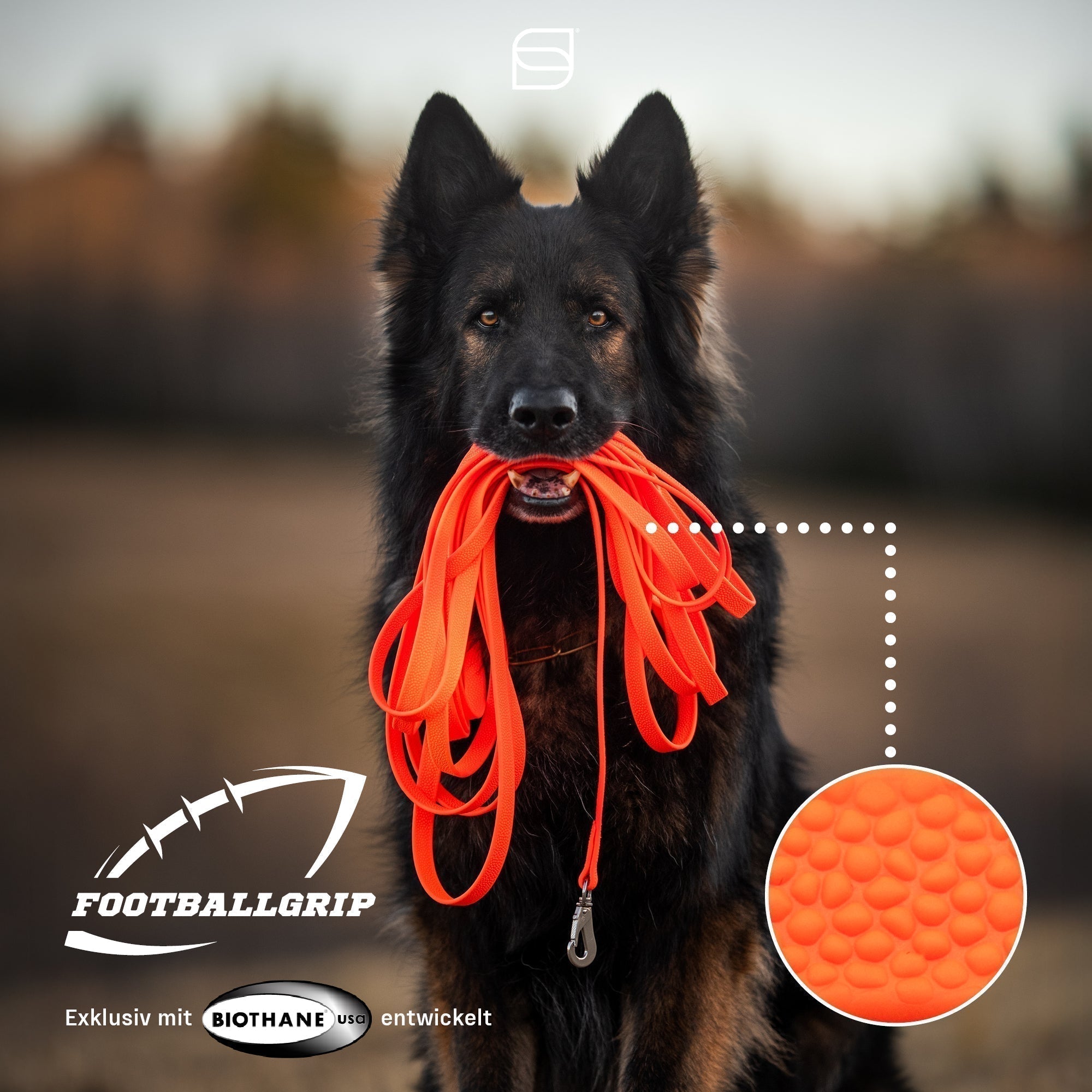 BioThane® Footballgrip: Die neue Generation der Biothane Leinen