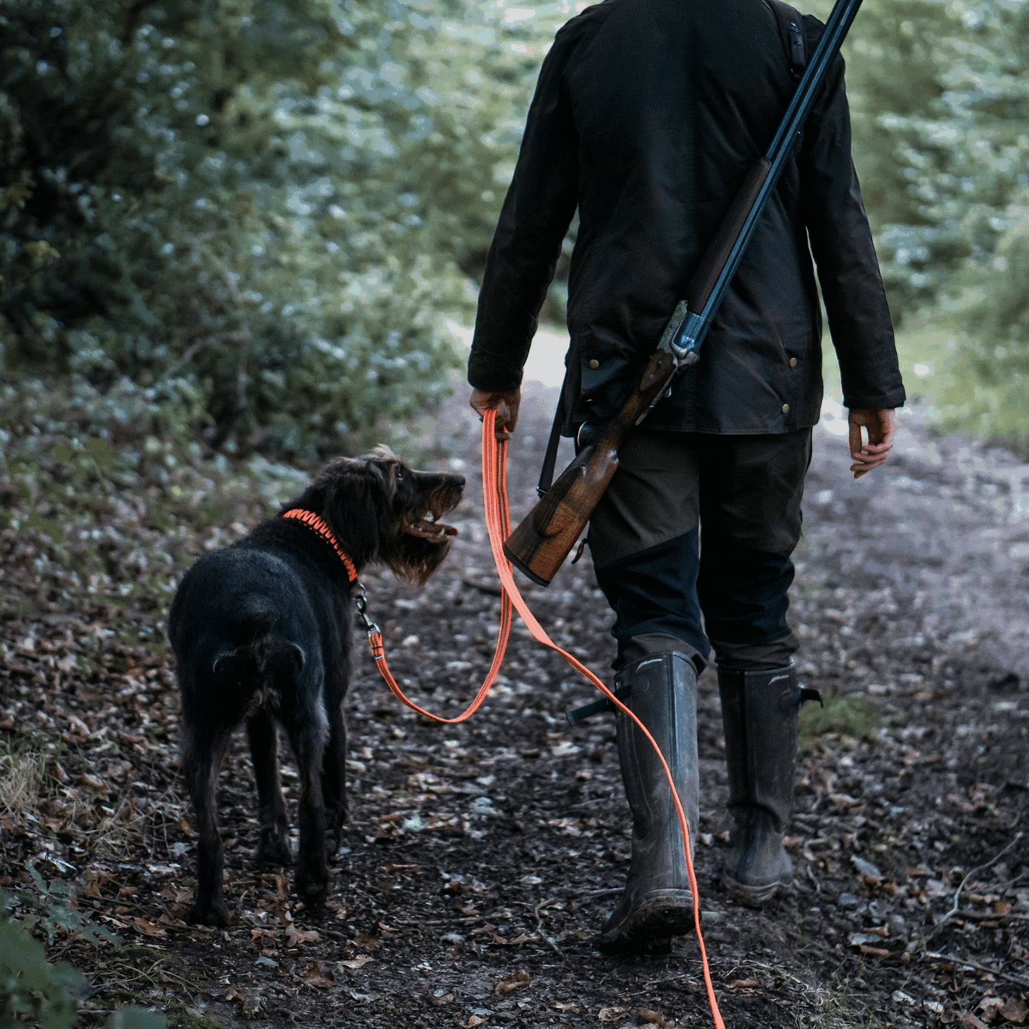 Ausrüstung für Jagdhunde – Der ultimative Guide für die perfekte Ausstattung