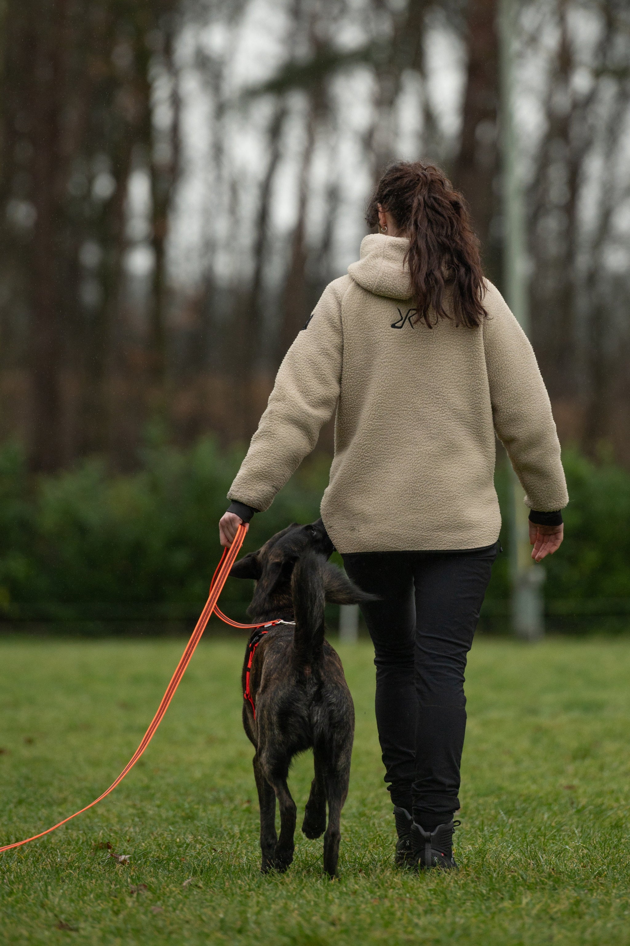IGP Youngstars & Helper Camp | SPRENGER Hund