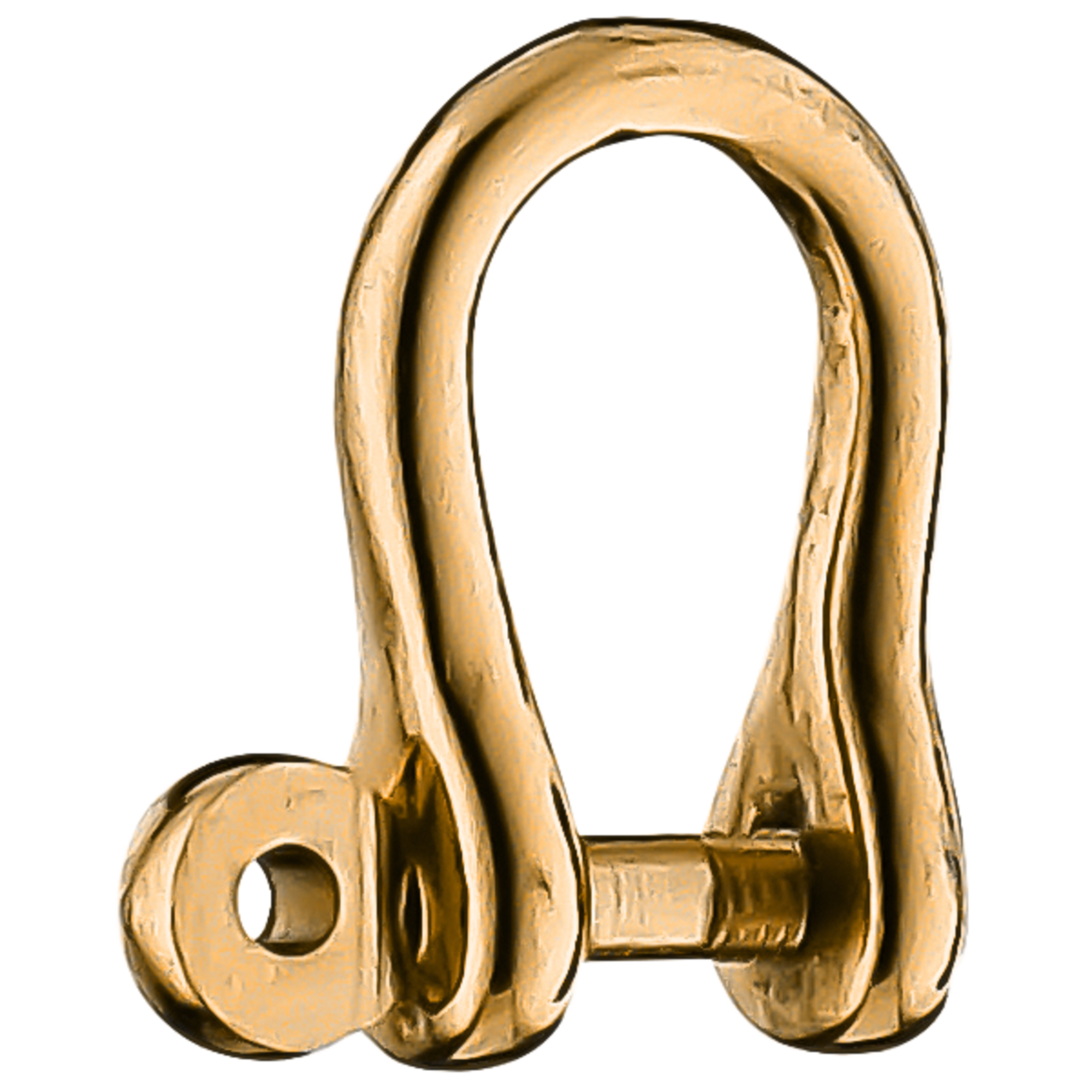 Schlüssel Schäkel & Schäkel geschweift | 3460000333.png