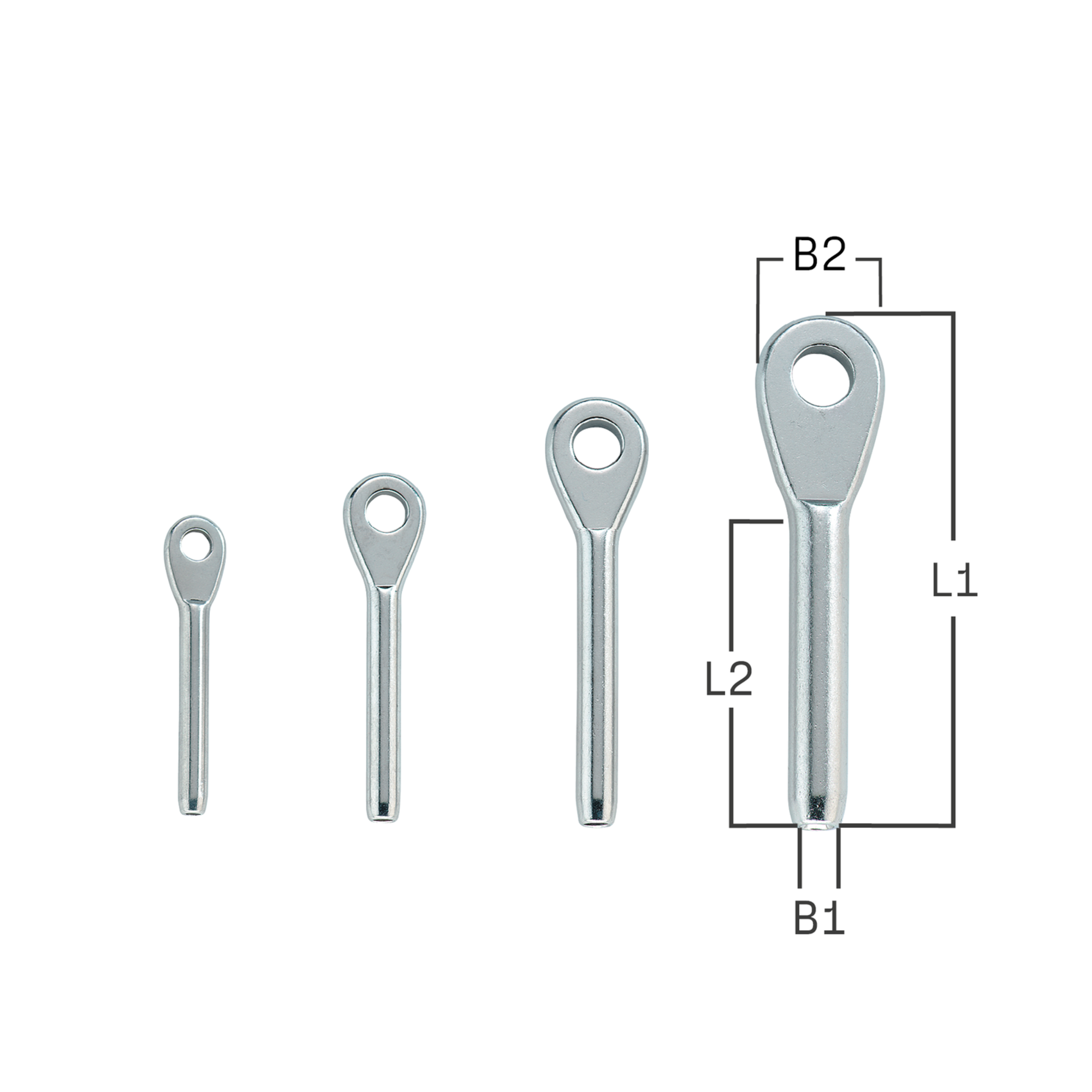Augterminals | 3647000056_Katalog.png