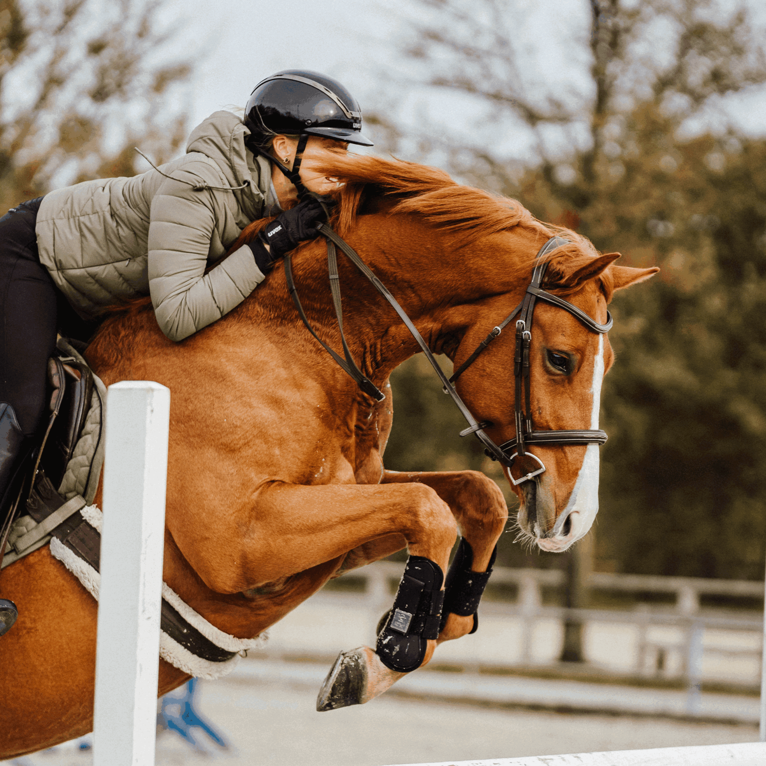 KK D Ring Gebiss 12 mm Sensogan | 40410_78_4.png