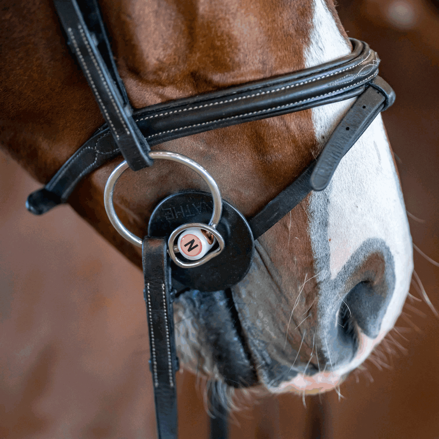 NATHE Standardgebiss 20 mm mit zusätzlichem kleinen Ring | 40871_03.png | 1731065022