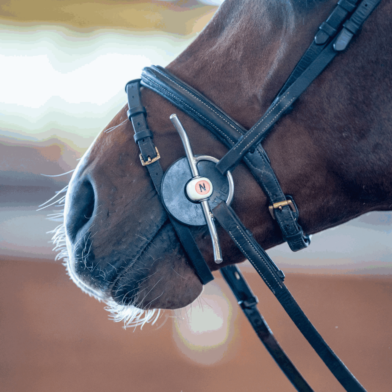 NATHE Schenkeltrense 20 mm mit biegsamer Stange | 41289_02.png | 1731065115