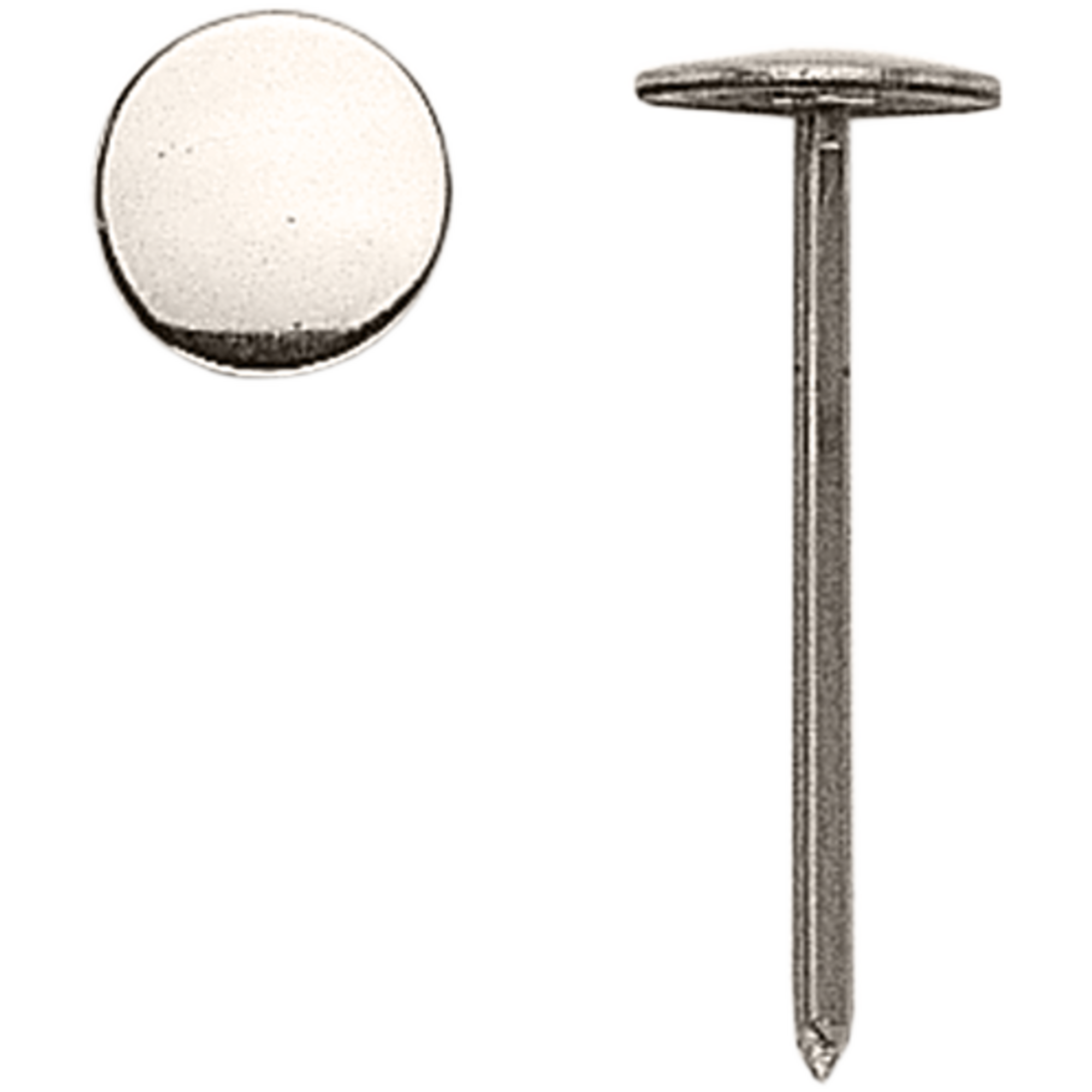 Sattelnagel | 46900_40.png