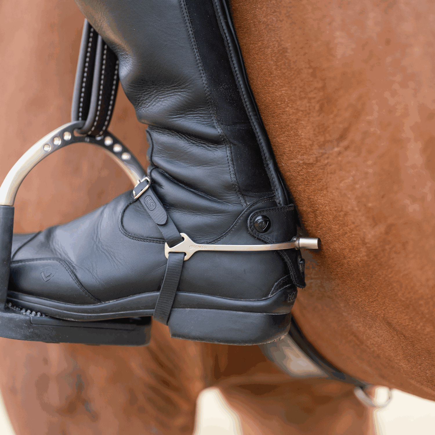 BootProtect Sporen Edelstahl rostfrei matt 15 mm flach | 4771510065_2.png | 1731067884