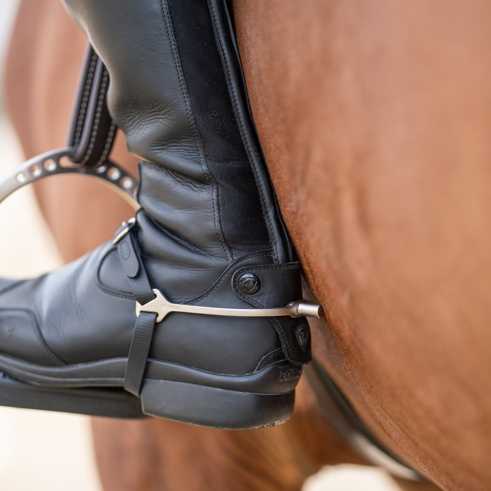 BootProtect Sporen Edelstahl rostfrei matt 15 mm flach | 4771510065_4.png