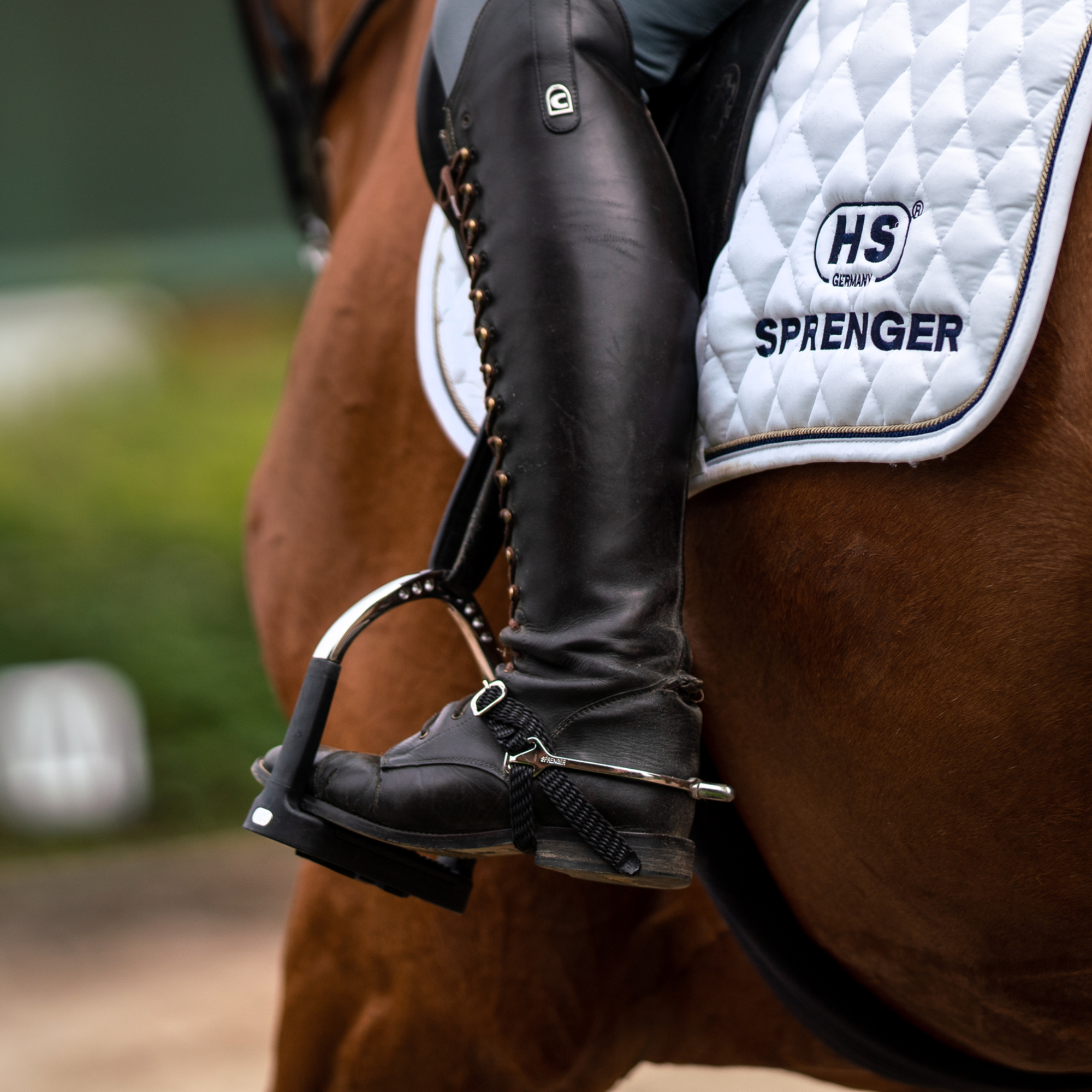 BootProtect Sporen Edelstahl rostfrei 25 mm abgerundet | 4772500055_2.png