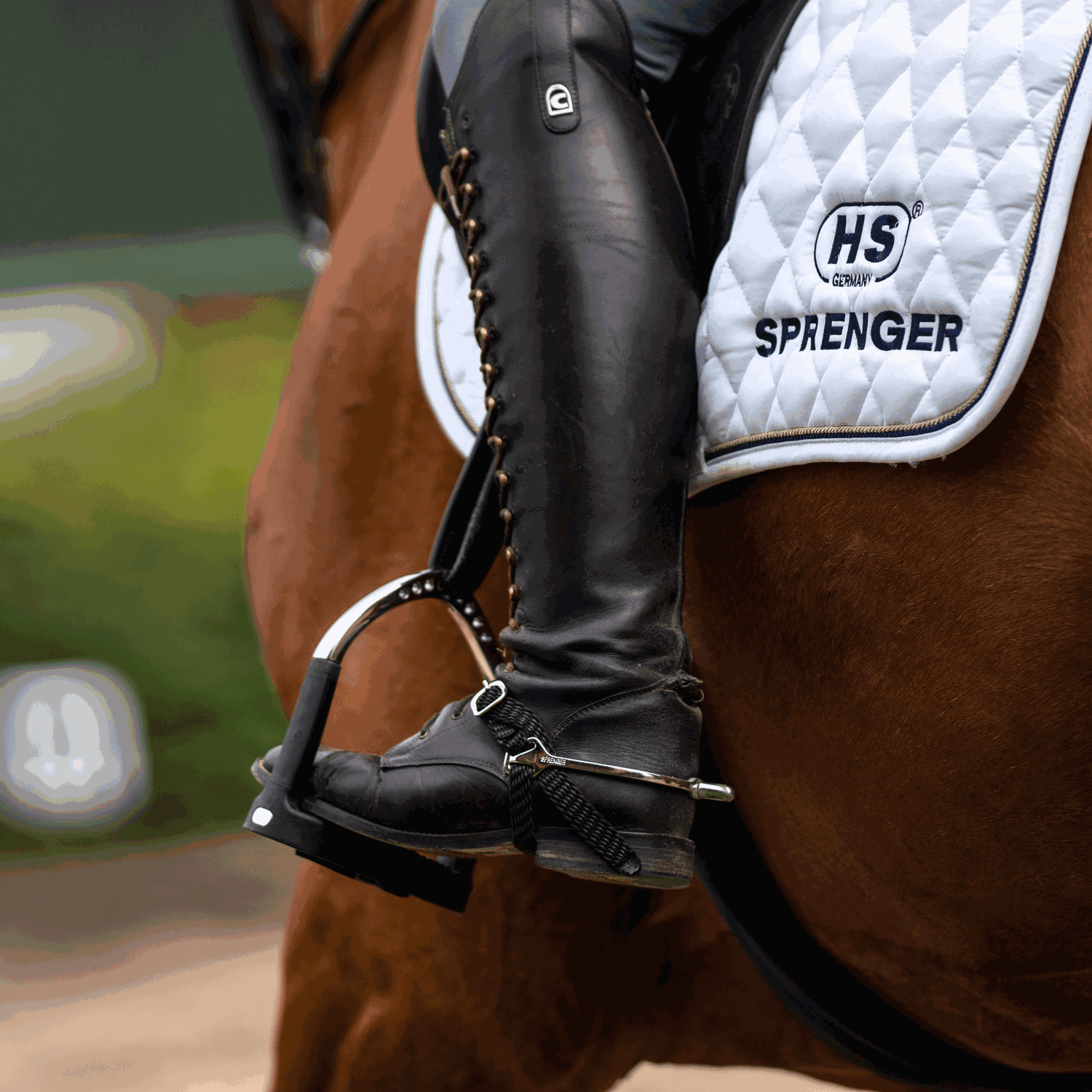 BootProtect Sporen Edelstahl rostfrei 25 mm abgerundet | 4772500055_2.png | 1731067960