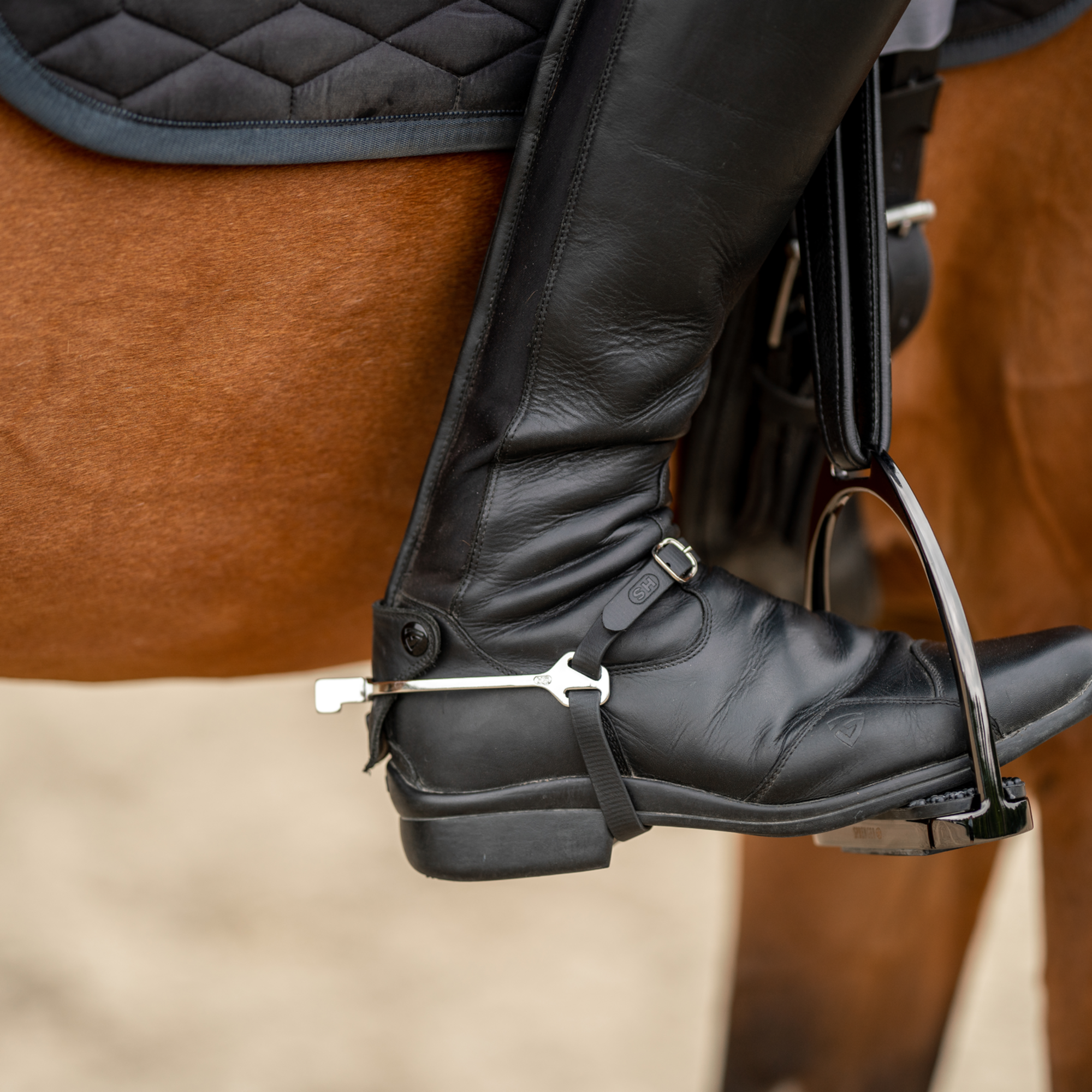 BootProtect Sporen Edelstahl rostfrei 20 mm flach | 4772700055_8.png