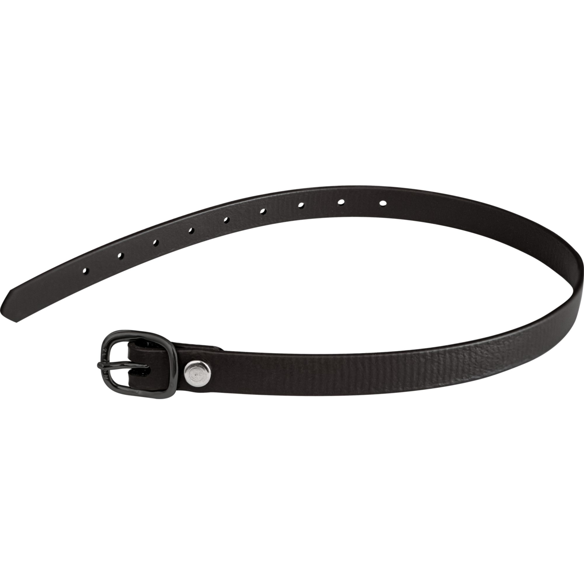 Sporenriemen 45 cm BioThane® schwarz Schnalle schwarz | 4918704561.png
