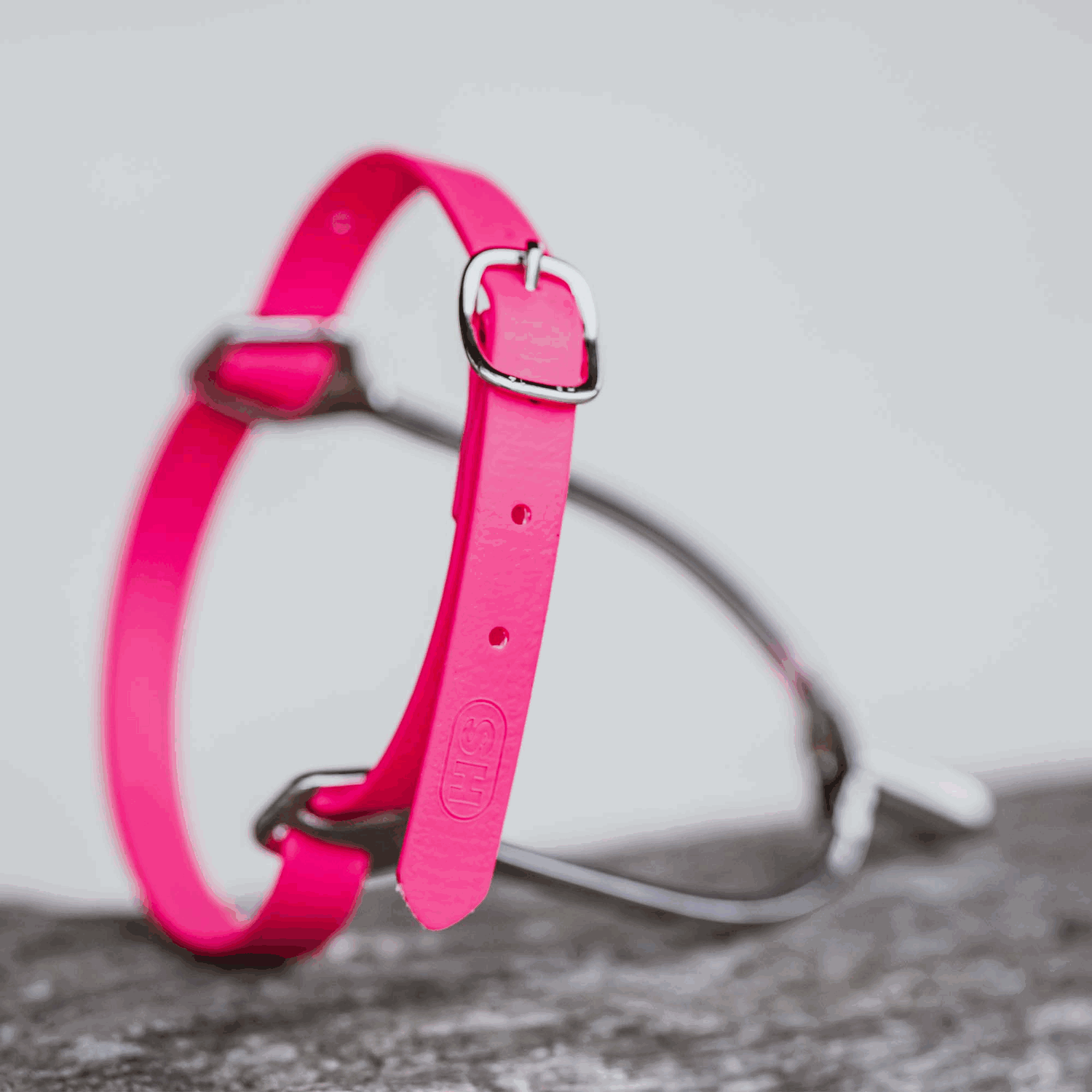 Sporenriemen 45 cm Biothane pink Schnalle silber | 49187045B0_4.png | 1731069931