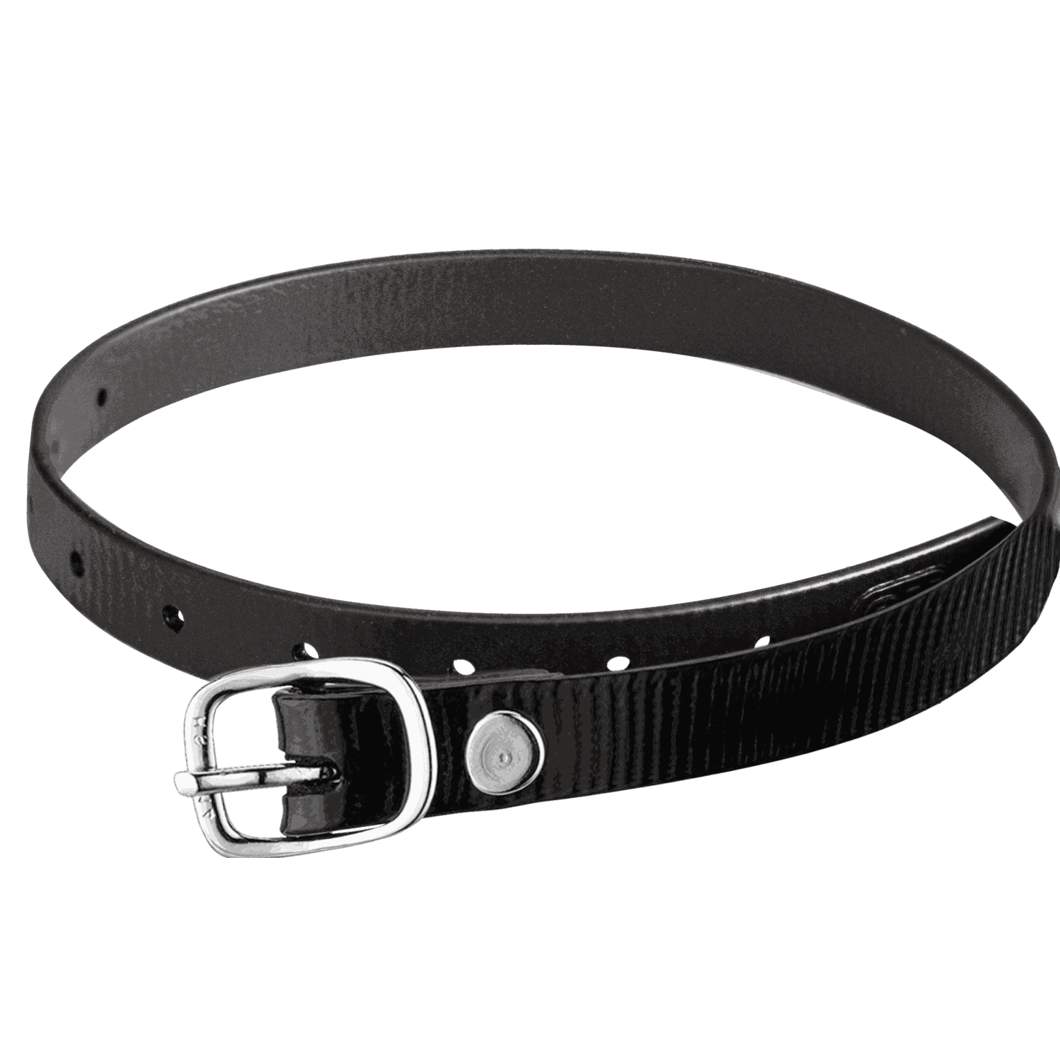 Sporenriemen 45 cm BioThane® Glossy schwarz | 4919704500_3.png