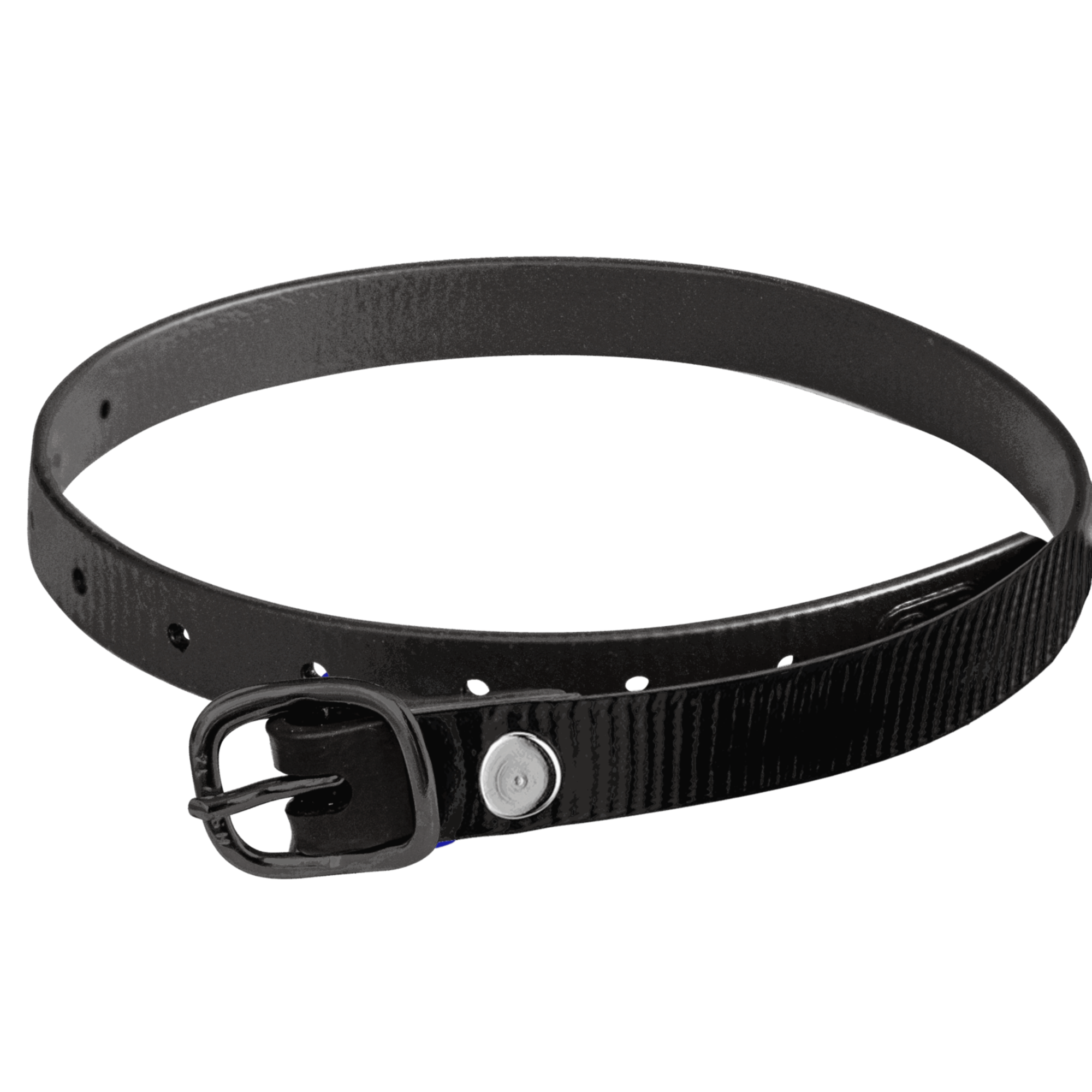 Sporenriemen 45 cm BioThane® Glossy schwarz Schnalle schwarz | 4919704561.png