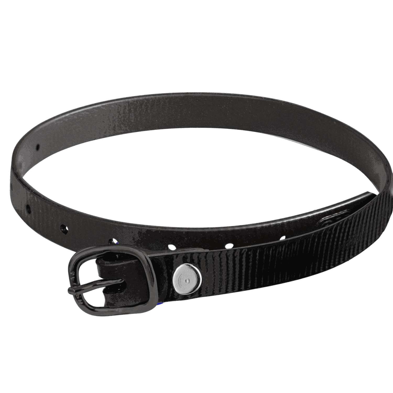 Sporenriemen 45 cm BioThane® Glossy schwarz Schnalle schwarz | 4919704561.png