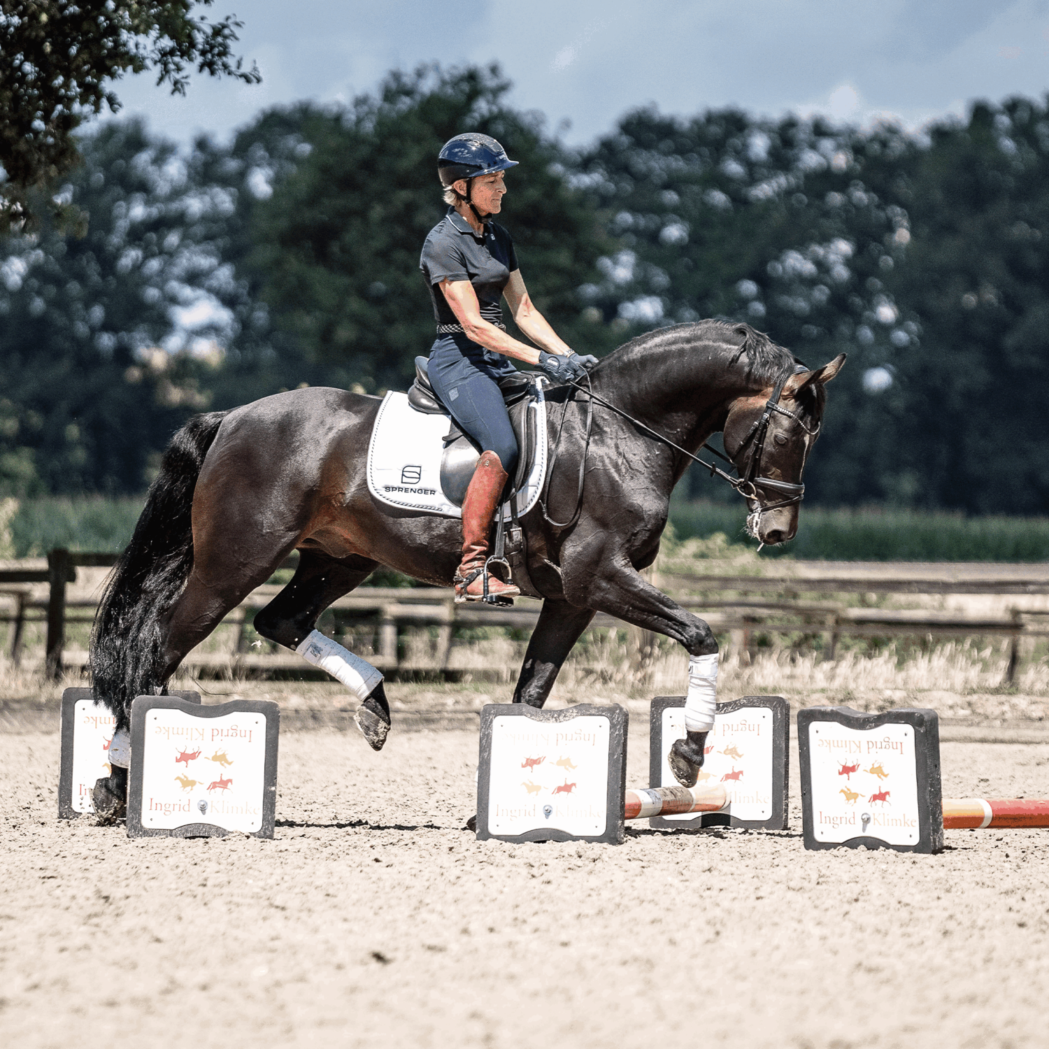 SPRENGER & Ingrid Klimke KK ULTRA Wassertrense Sensogan | 4K26612255_07.png | 1744063322
