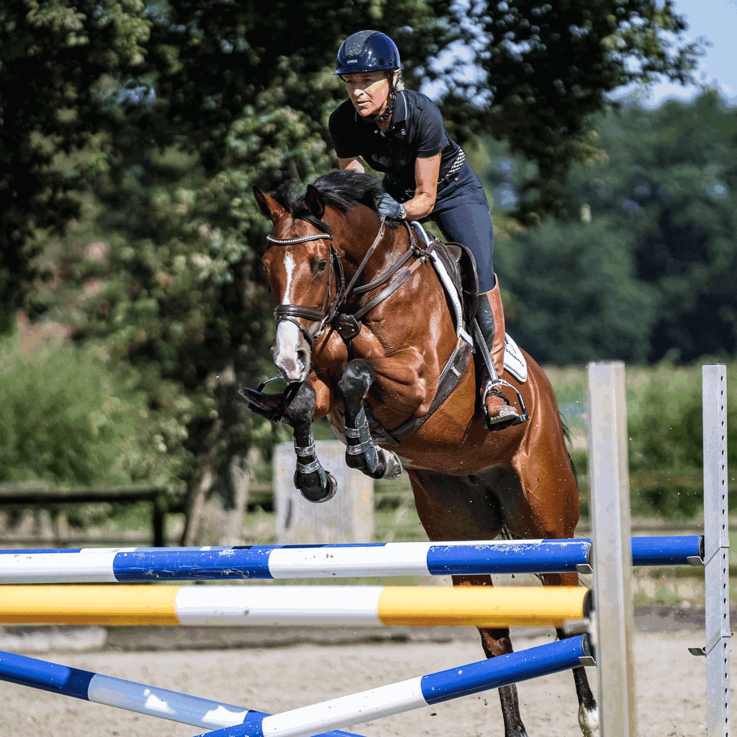 SPRENGER & Ingrid Klimke Bow Balance Steigbügel | 4K26612255_08.png