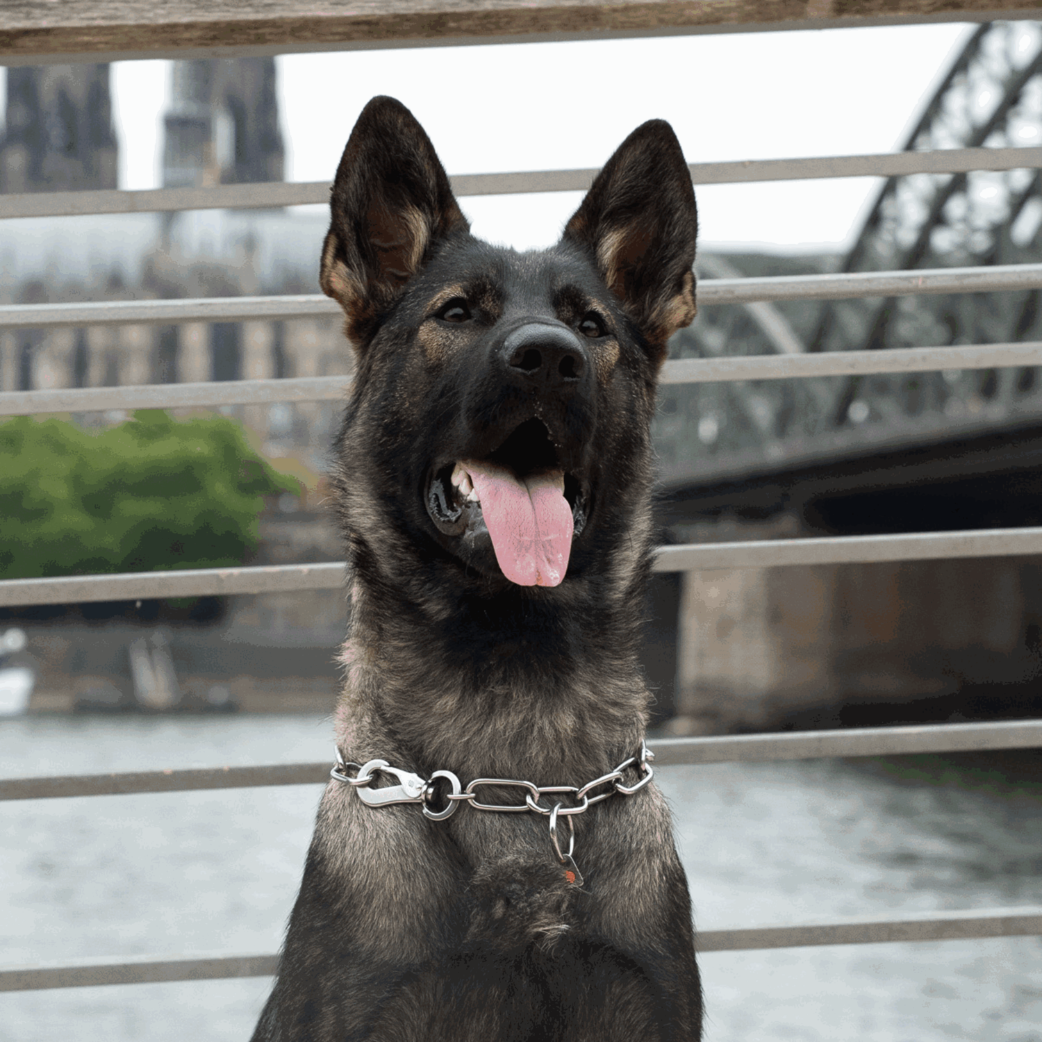 Halskette langgliedrig verstellbar mit SPRENGER Haken Edelstahl Rostfrei 4 mm | 51602-55_6.png